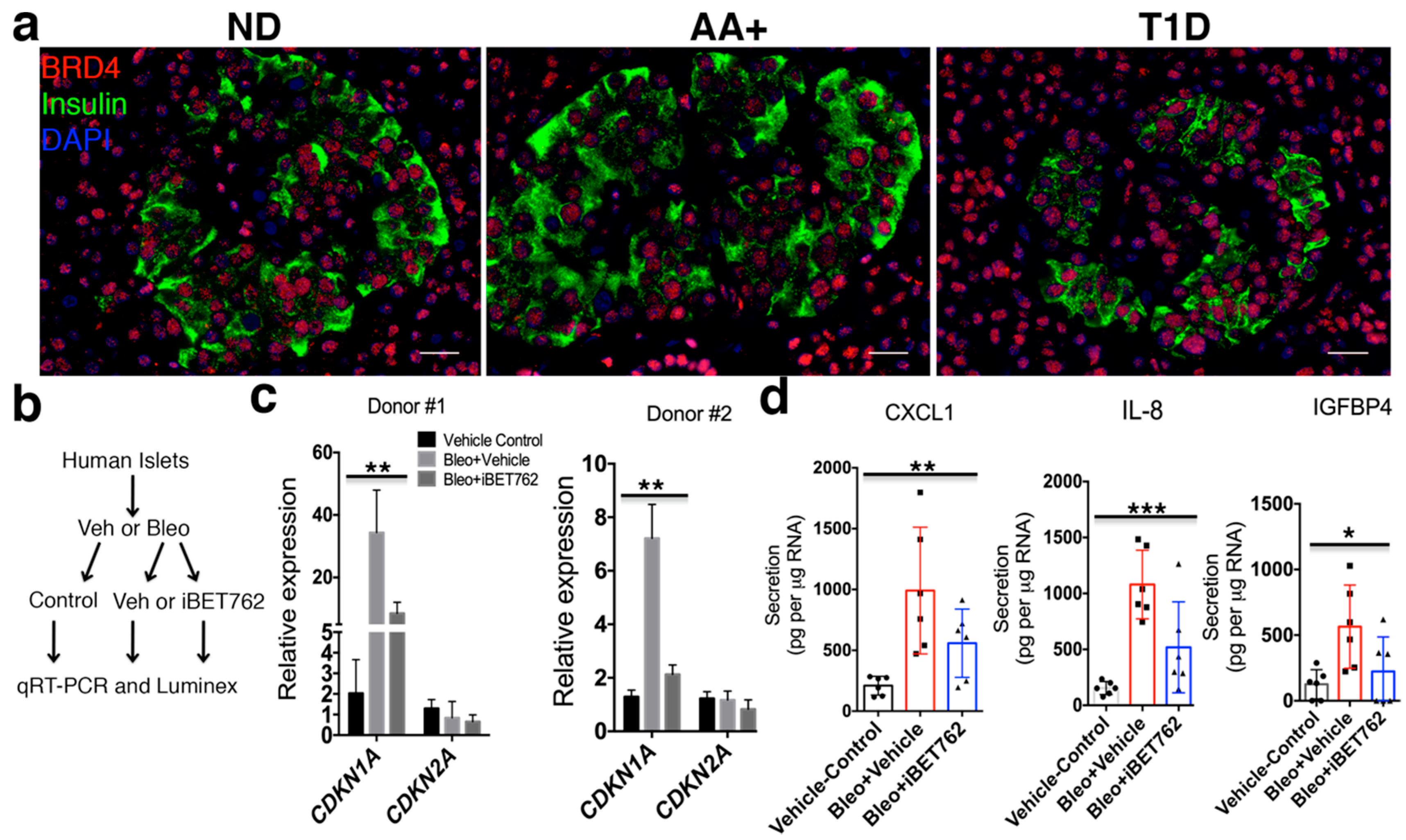 Ijms 20 04776 g003 Ijms 20 04776 g003