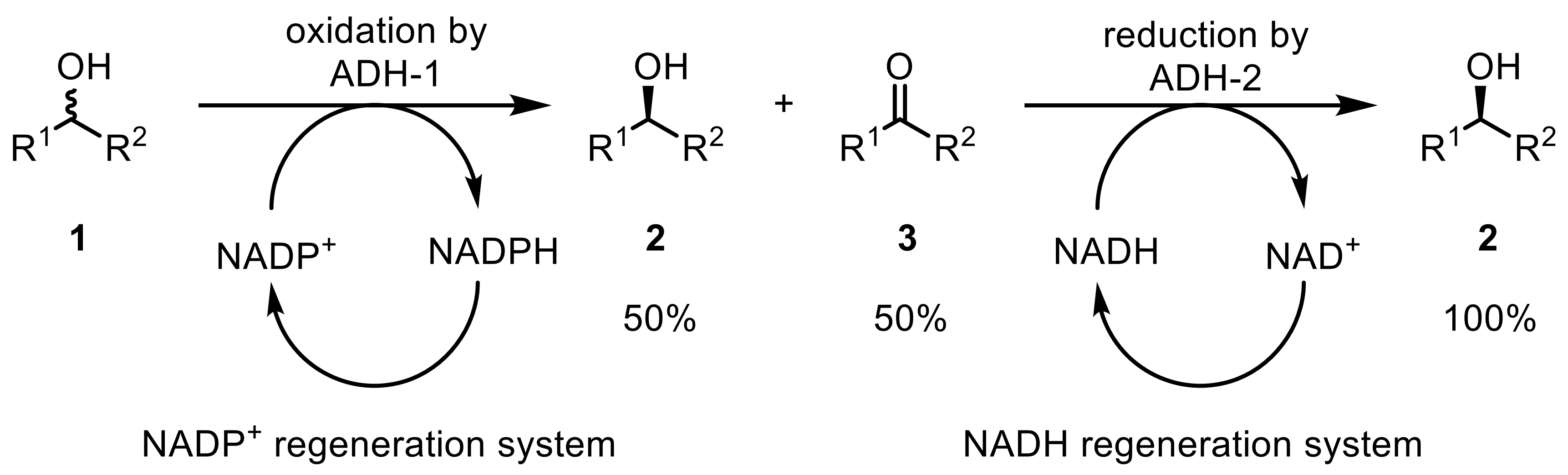Ijms 20 04787 sch001