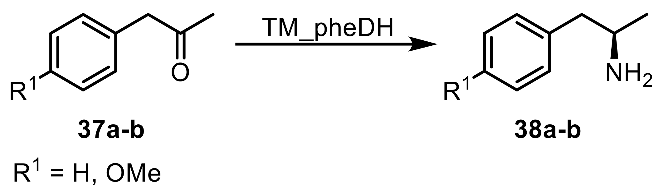 Ijms 20 04787 sch011