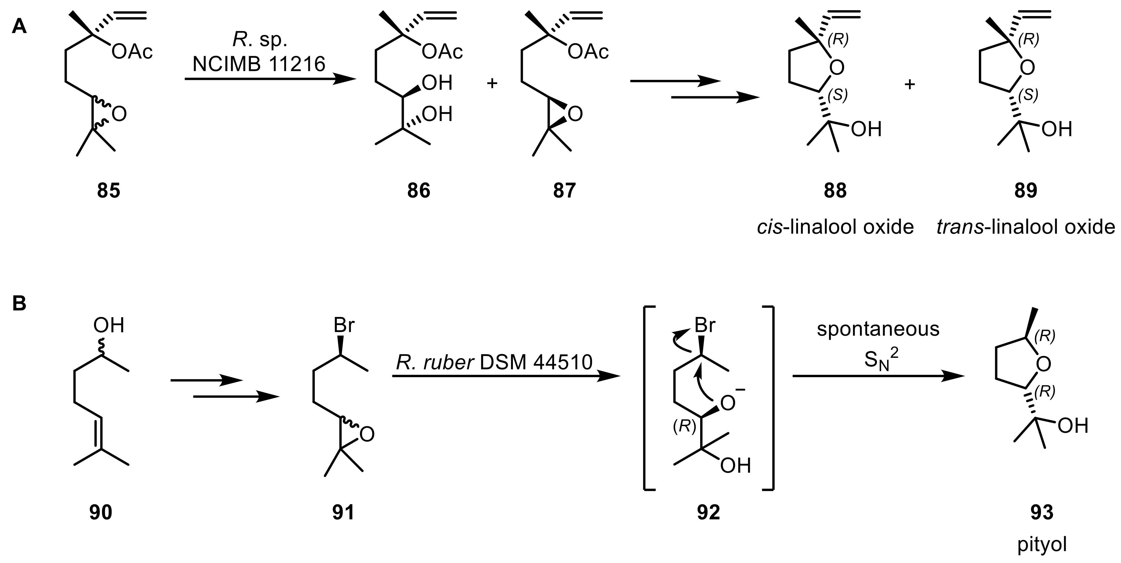 Ijms 20 04787 sch023