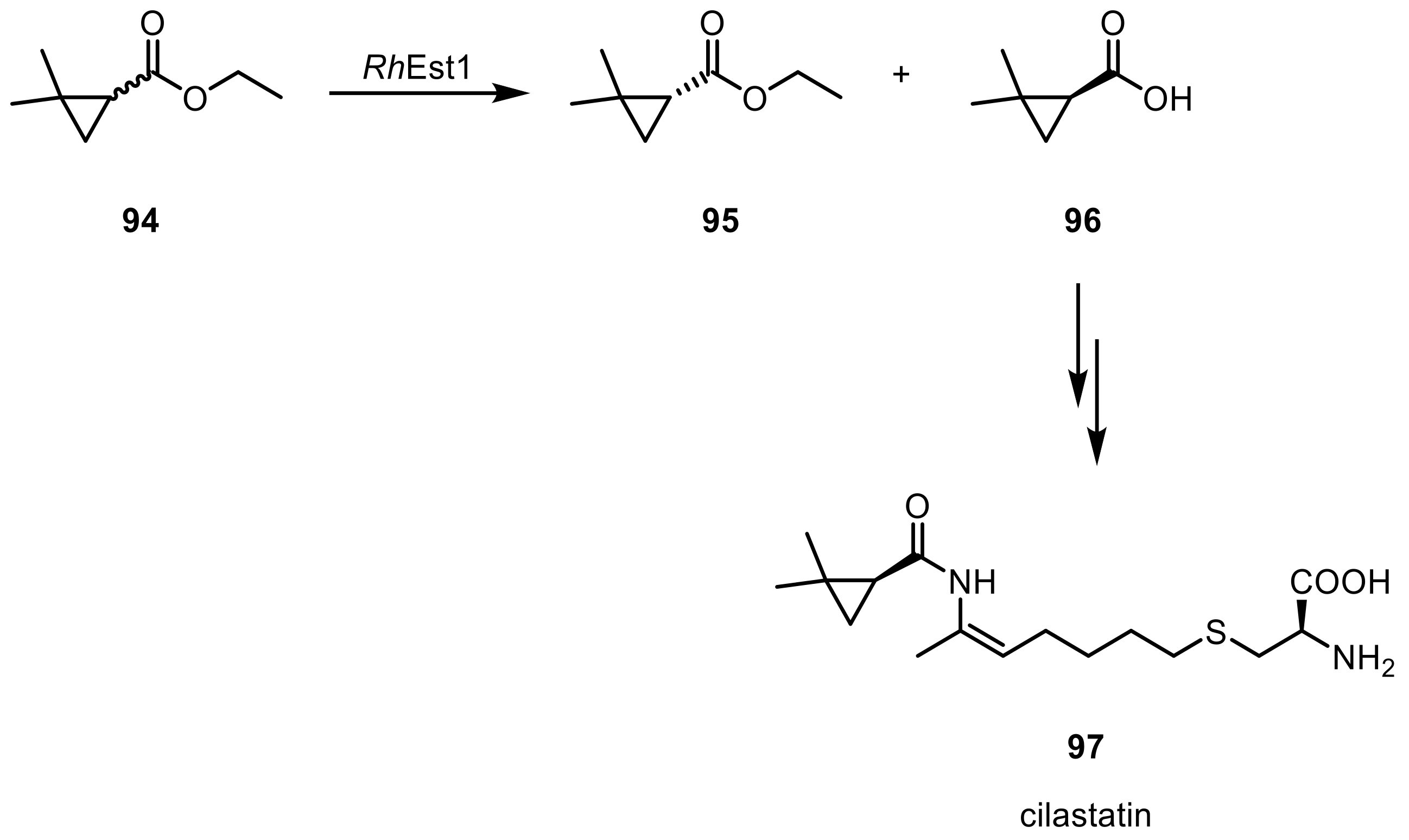 Ijms 20 04787 sch024