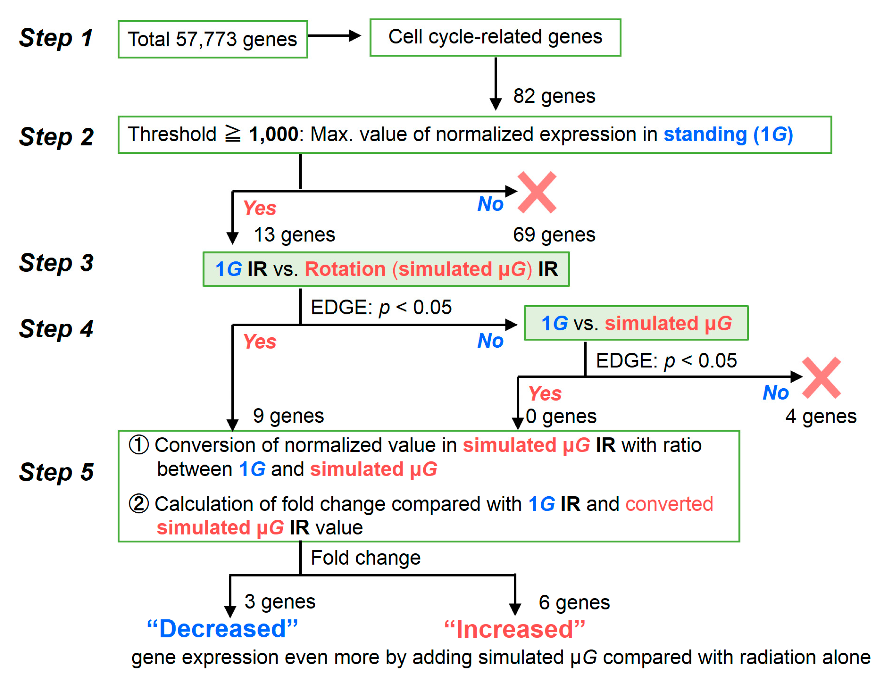 Ijms 20 04791 g002 Ijms 20 04791 g002