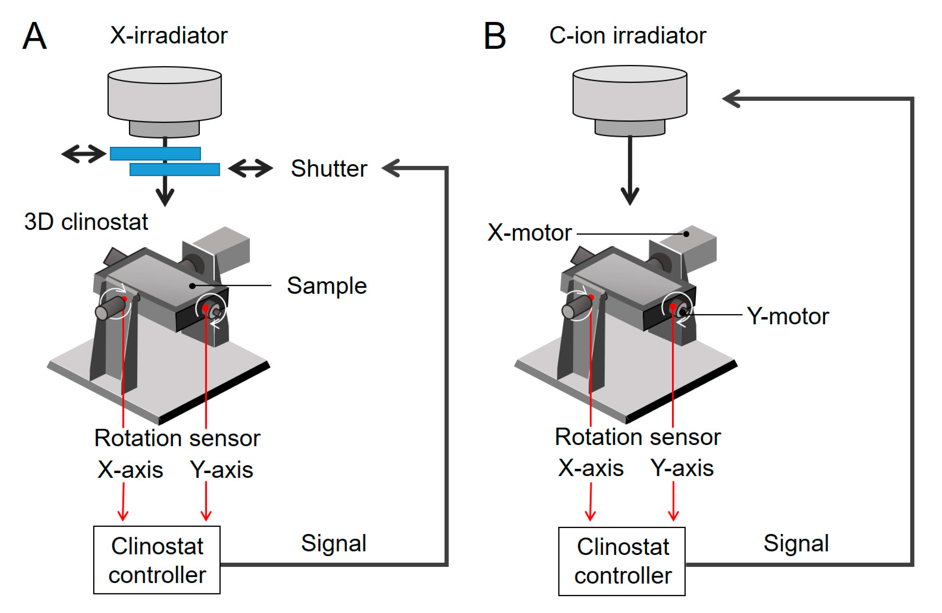 Ijms 20 04791 g005 Ijms 20 04791 g005