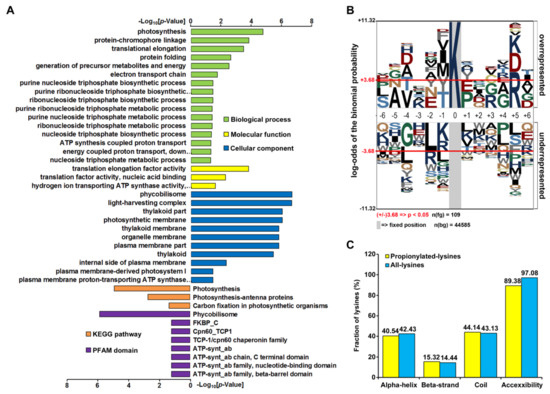 Lysine Propionylation is a Widespread Post-Translational