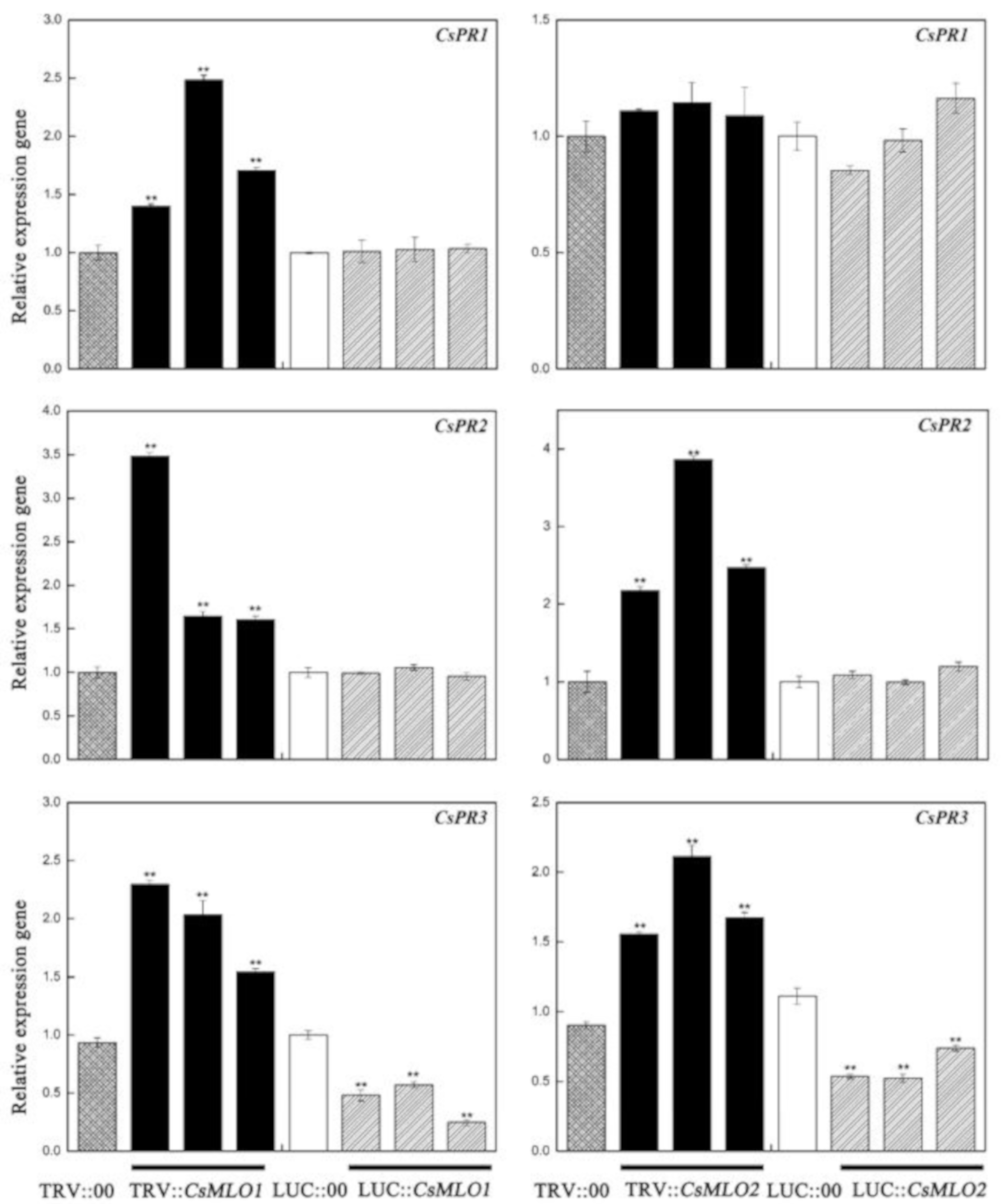 Ijms 20 04793 g008 Ijms 20 04793 g008