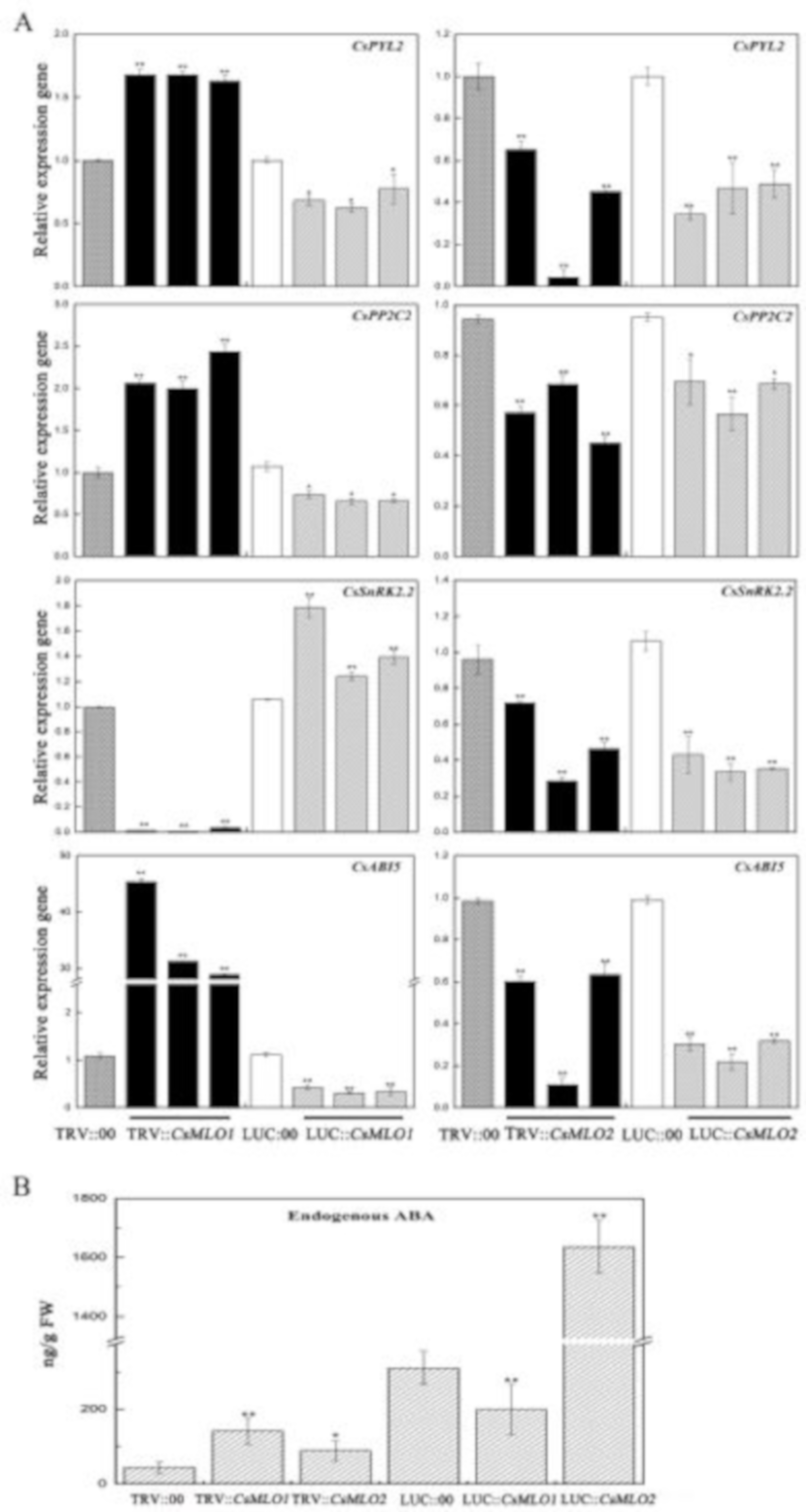 Ijms 20 04793 g010 Ijms 20 04793 g010