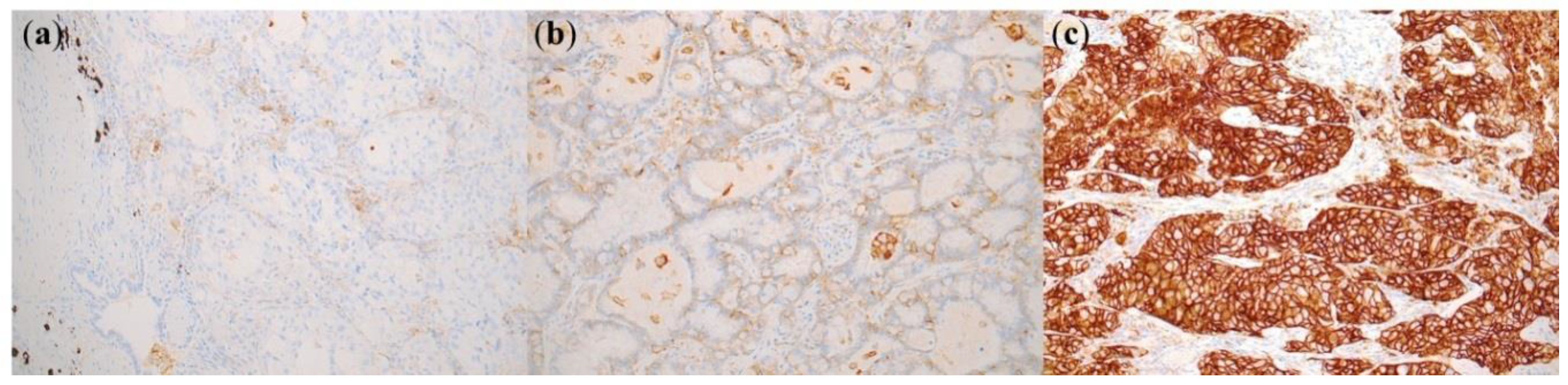 Ijms 20 04794 g001 Ijms 20 04794 g001