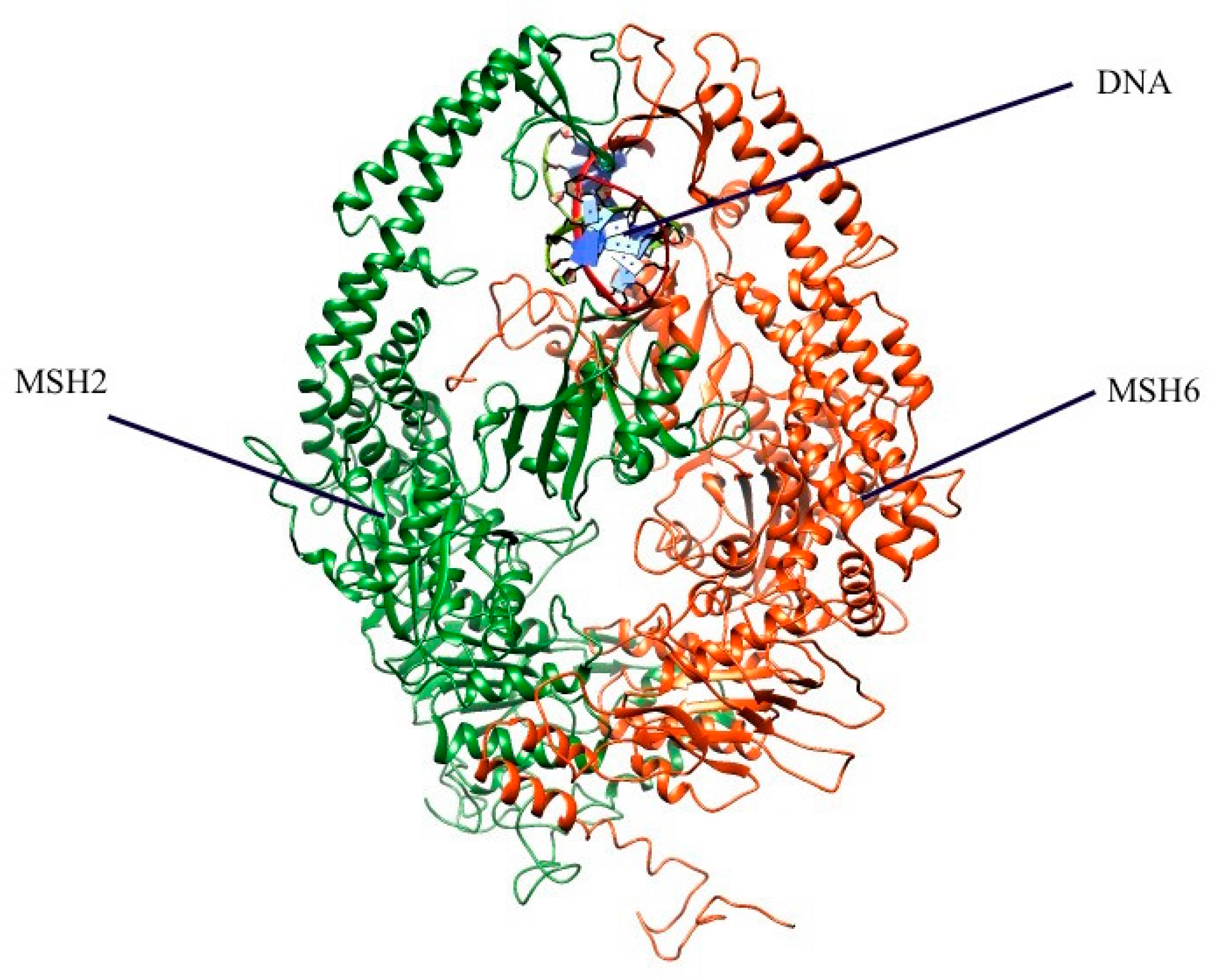 Ijms 20 04828 g005