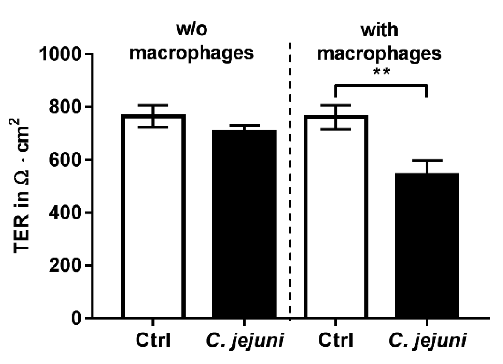 Ijms 20 04830 g001