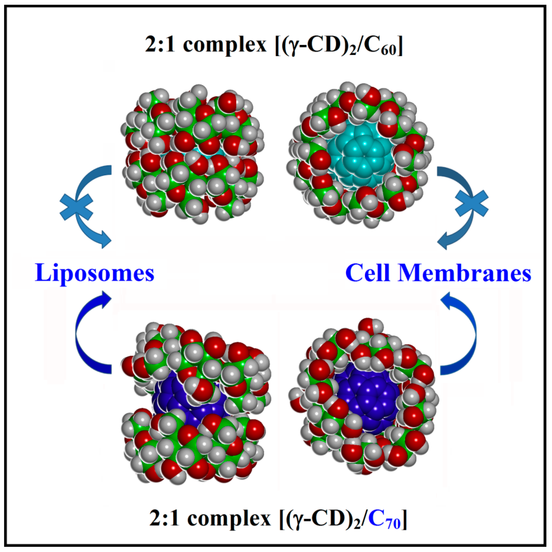 Ijms 20 04831 g008 550
