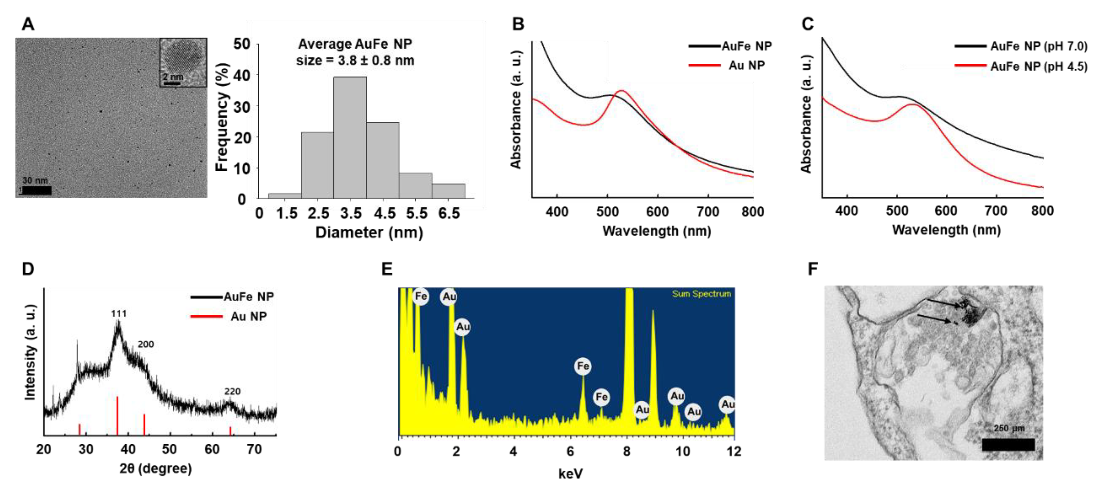 Ijms 20 04835 g001 Ijms 20 04835 g001