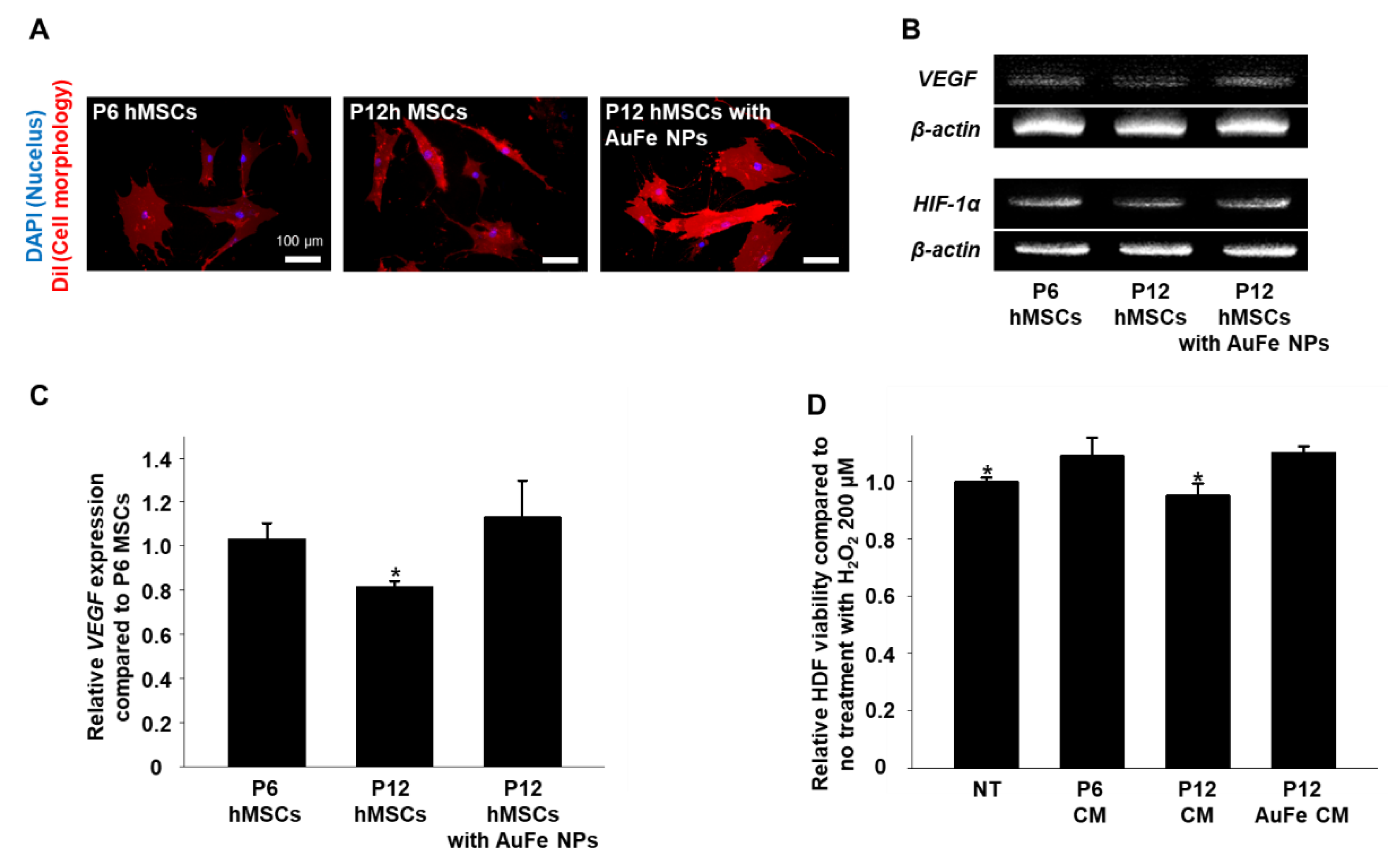 Ijms 20 04835 g003 Ijms 20 04835 g003