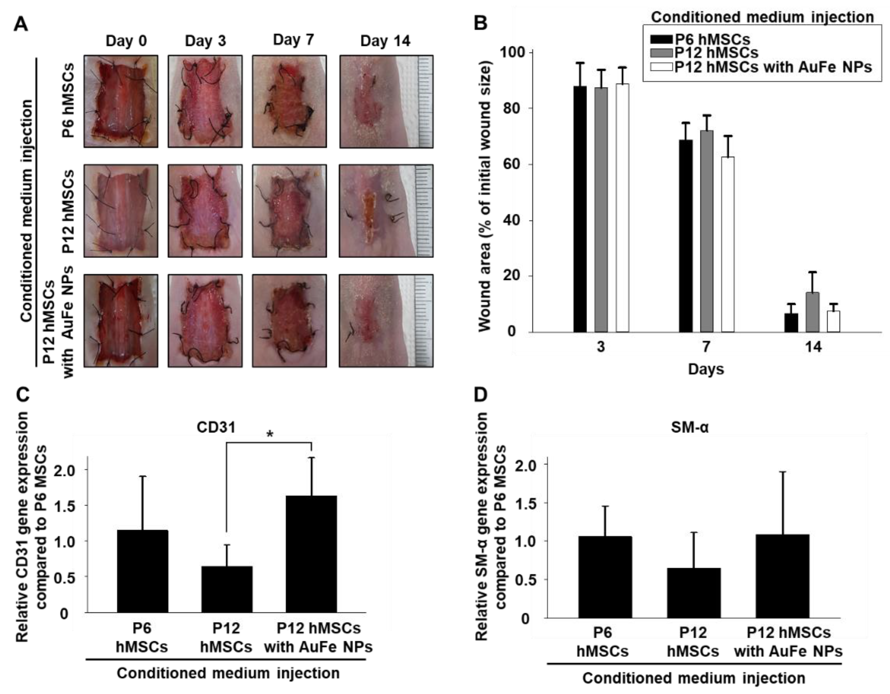 Ijms 20 04835 g004 Ijms 20 04835 g004