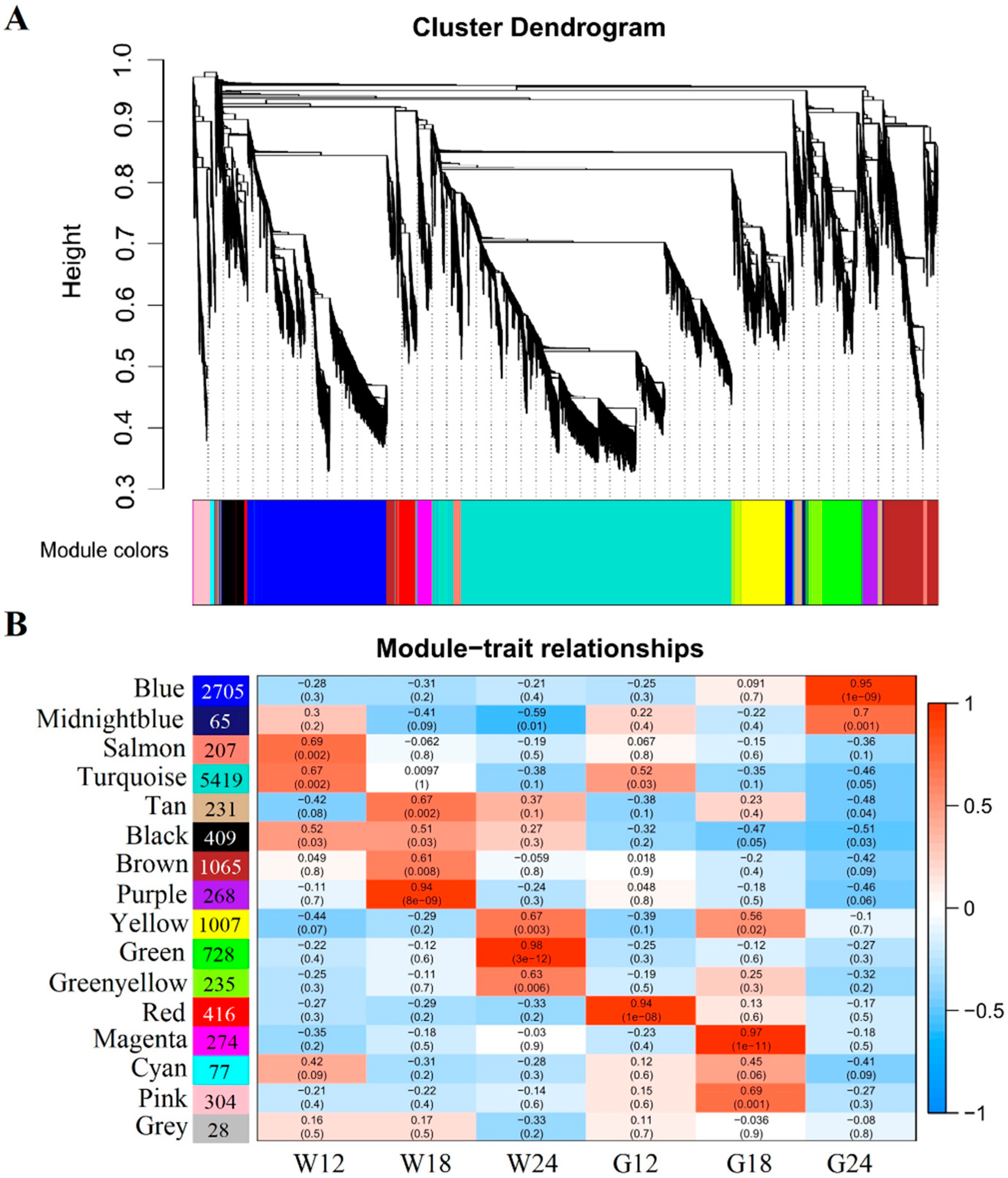 Ijms 20 04838 g004 Ijms 20 04838 g004