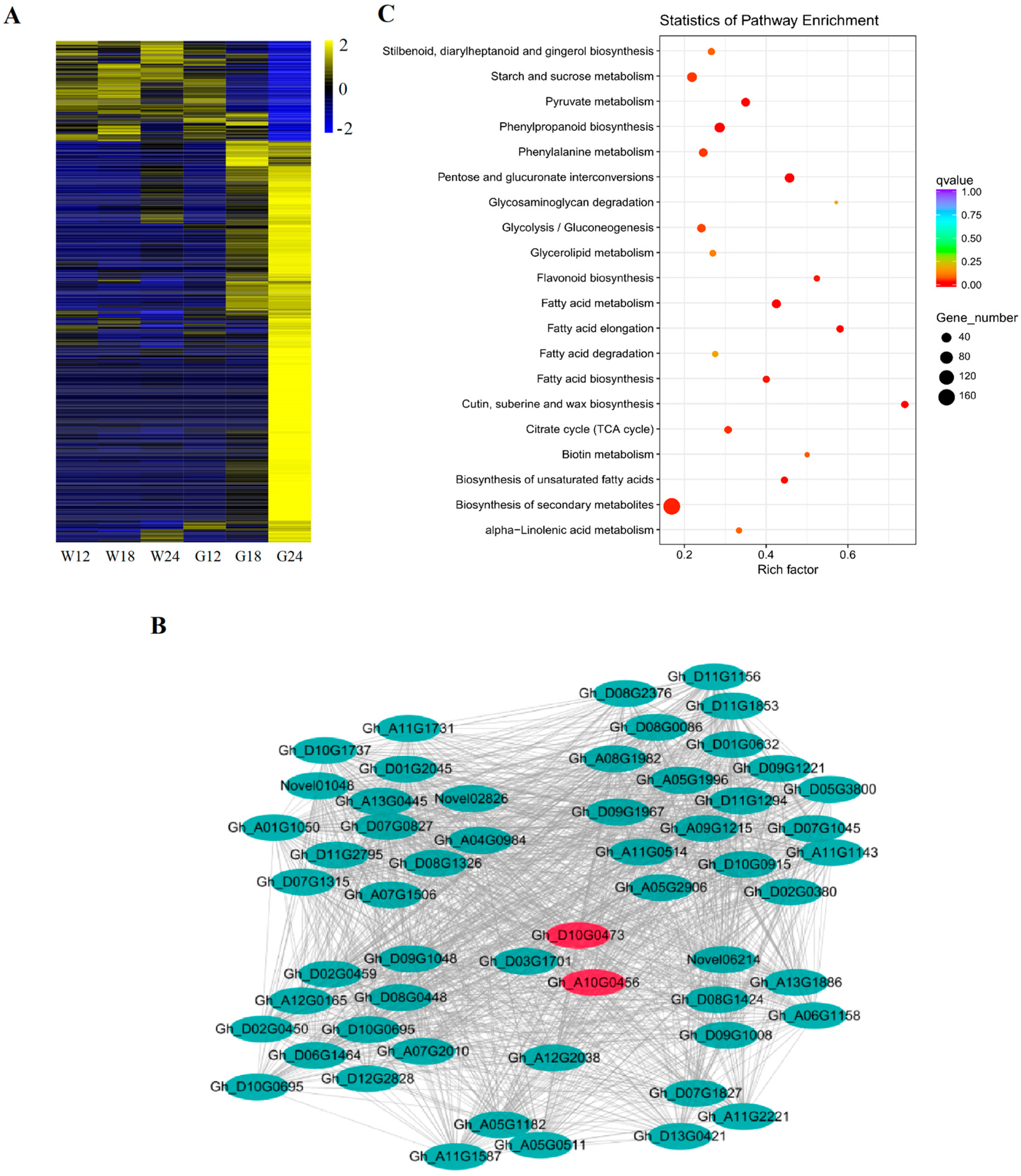 Ijms 20 04838 g005 Ijms 20 04838 g005