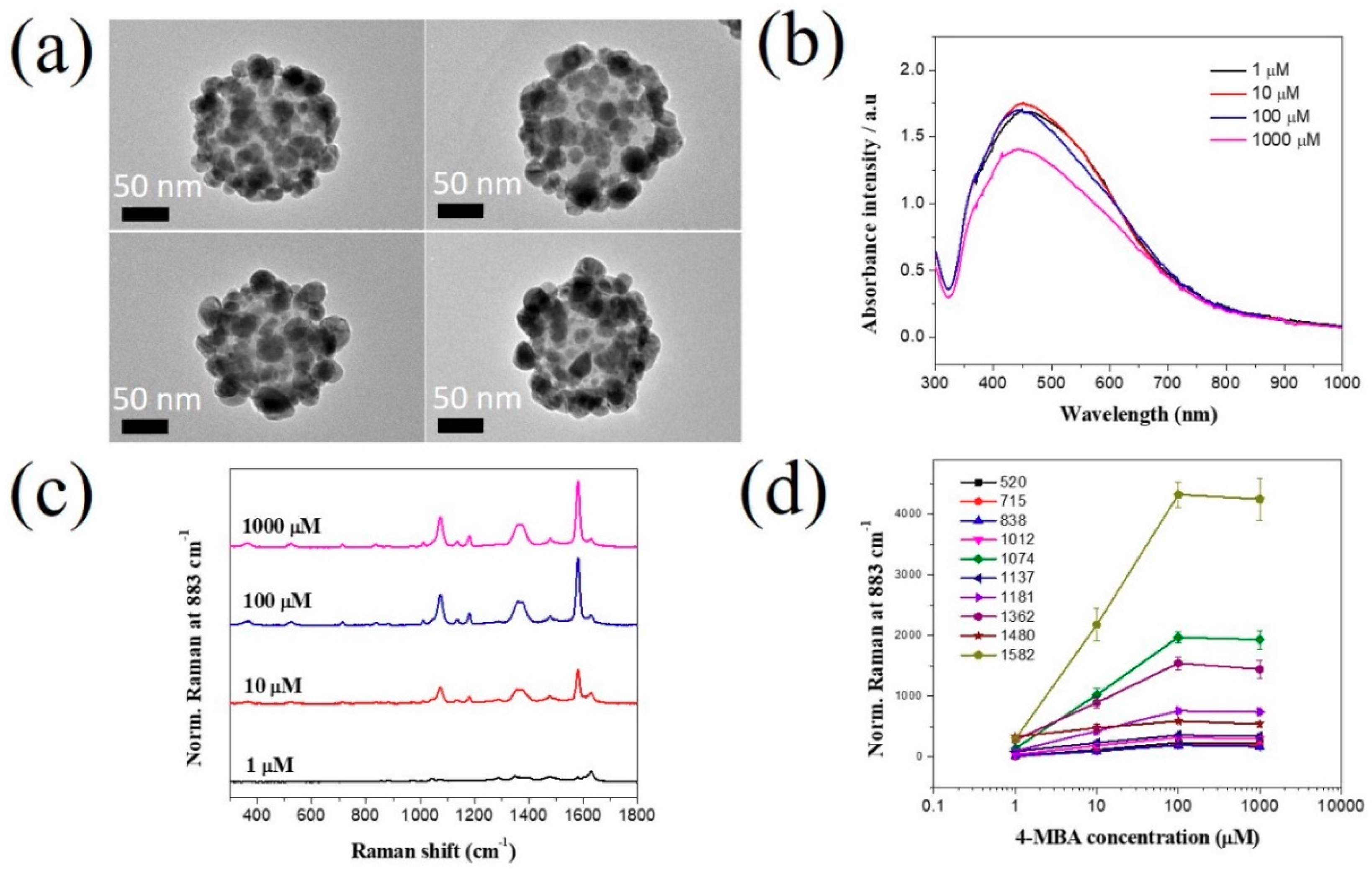 Ijms 20 04841 g003 Ijms 20 04841 g003