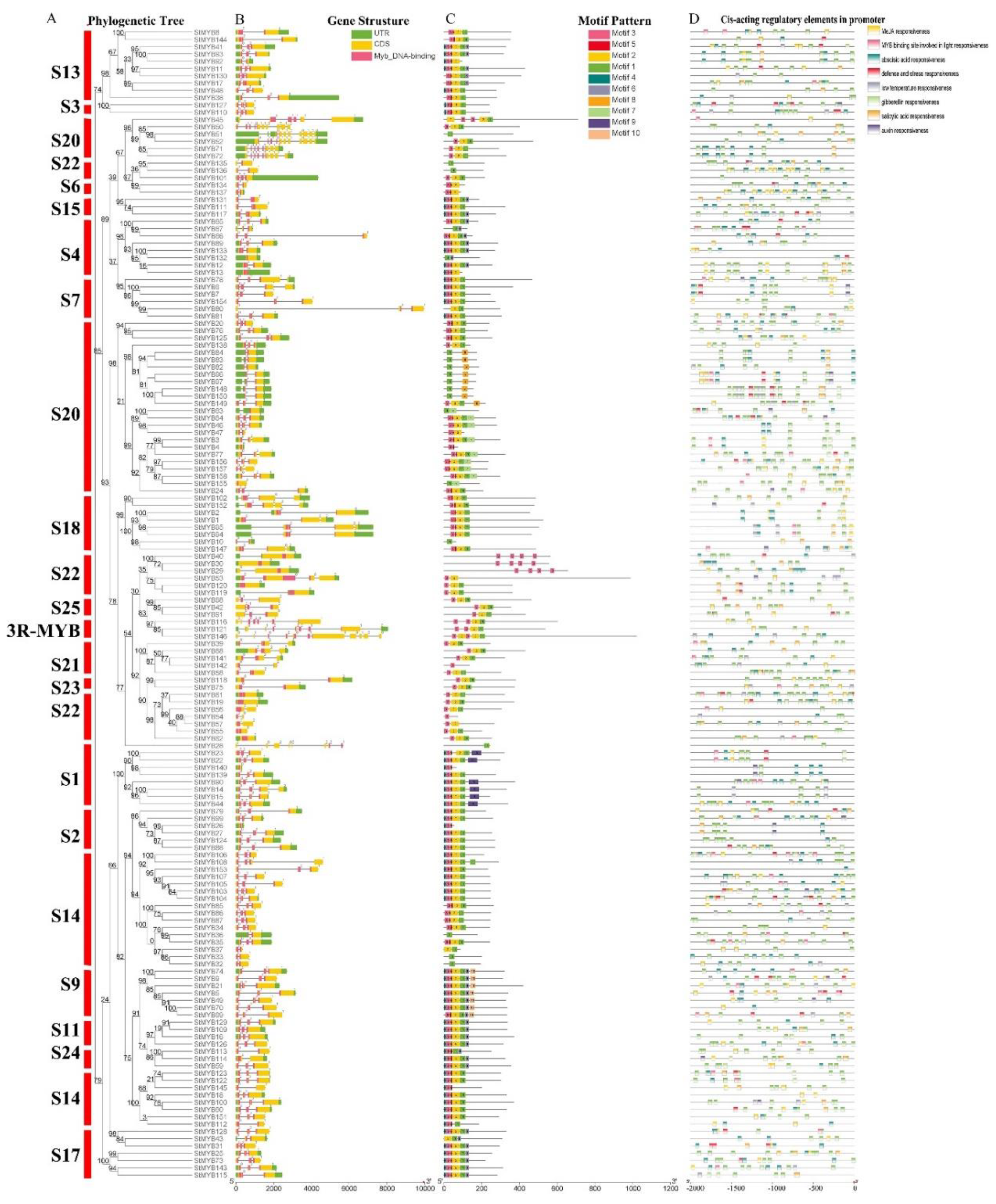 Ijms 20 04847 g002 Ijms 20 04847 g002