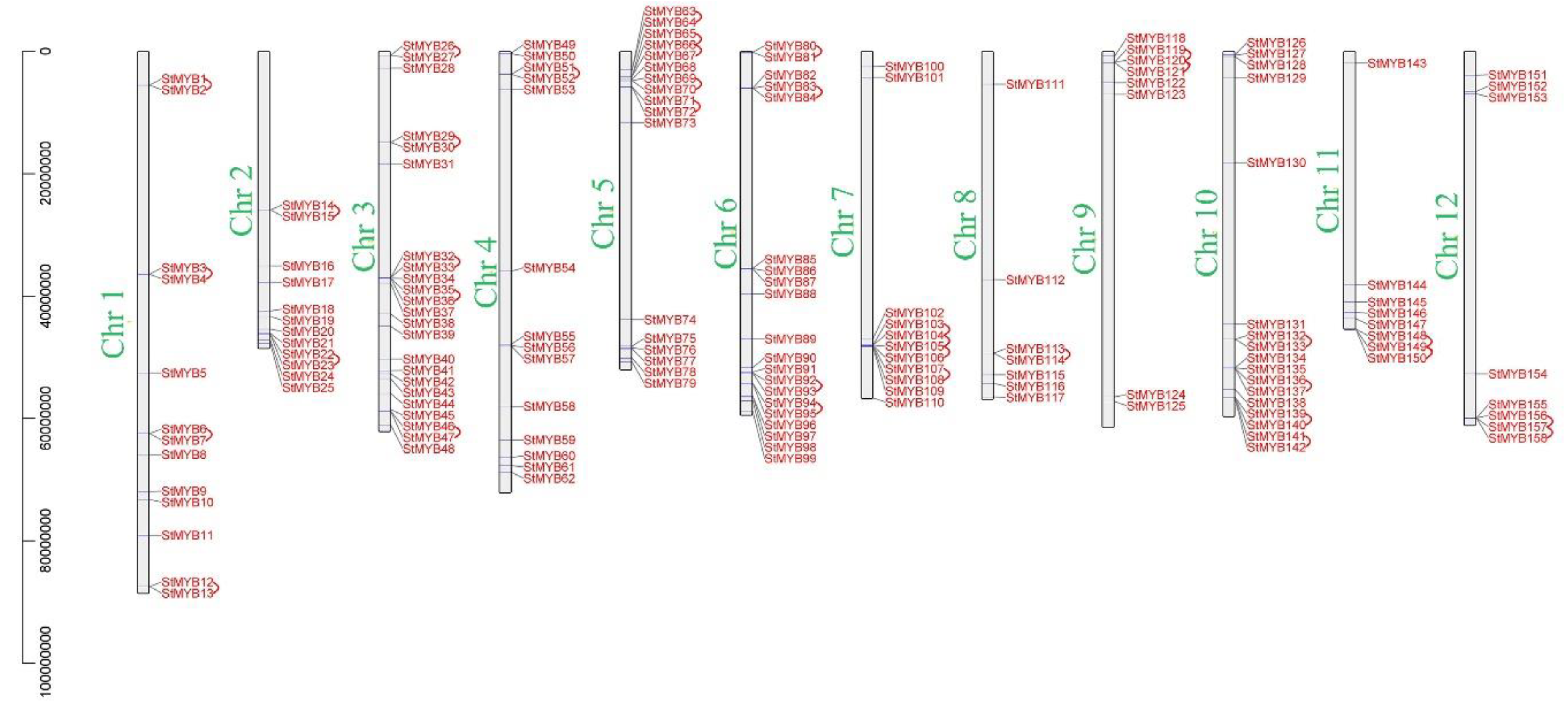 Ijms 20 04847 g003 Ijms 20 04847 g003