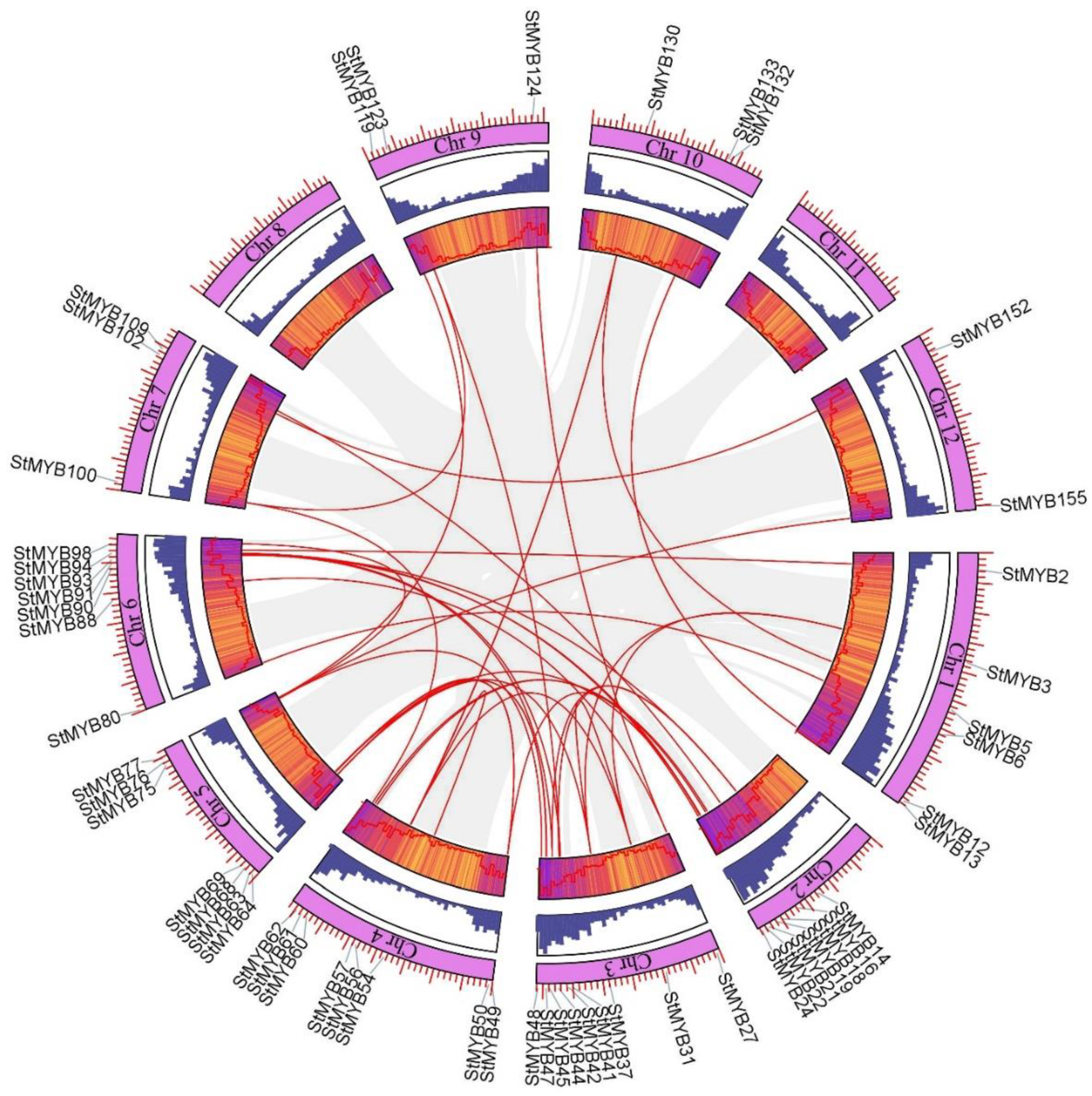 Ijms 20 04847 g004 Ijms 20 04847 g004