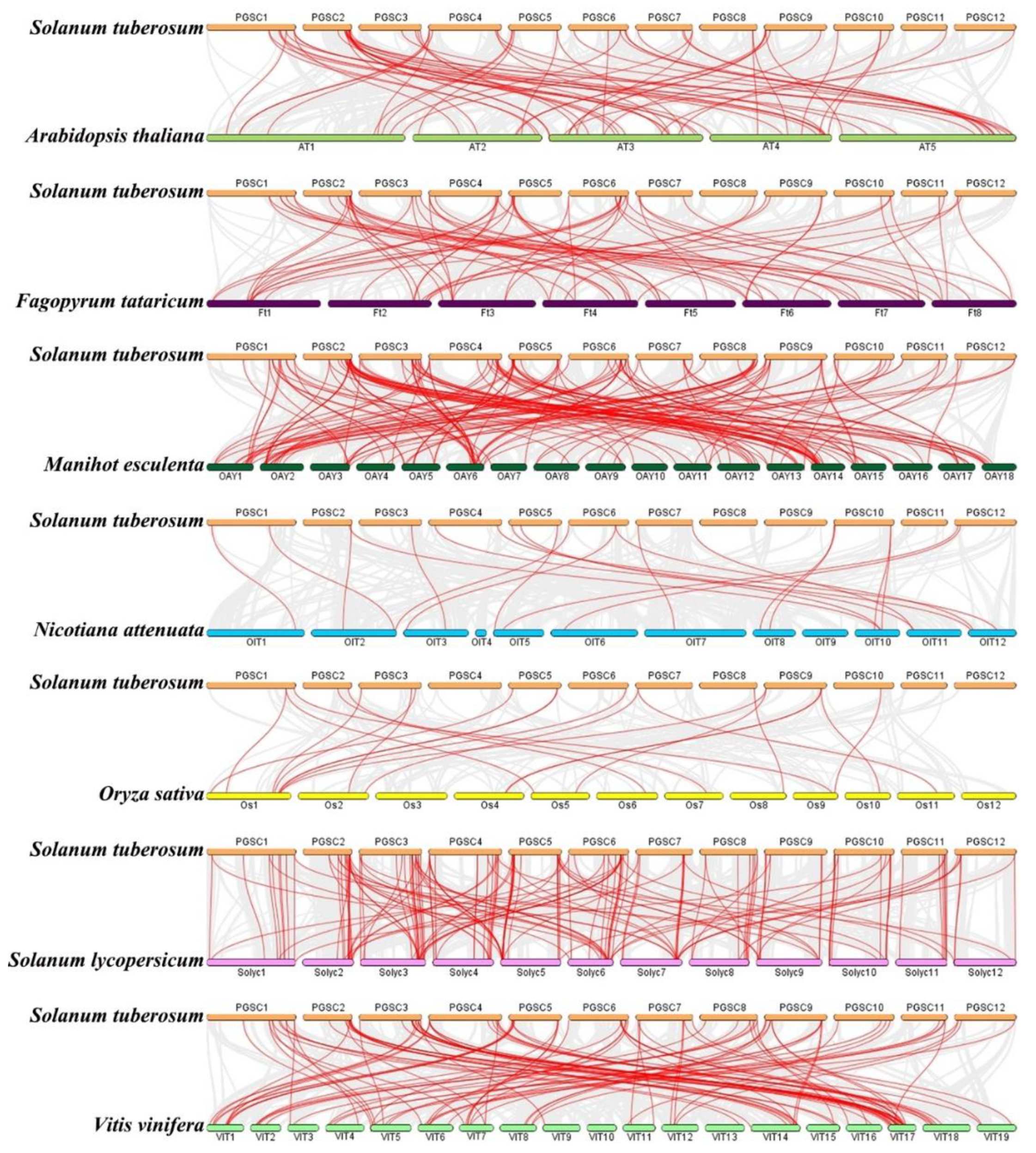 Ijms 20 04847 g006 Ijms 20 04847 g006