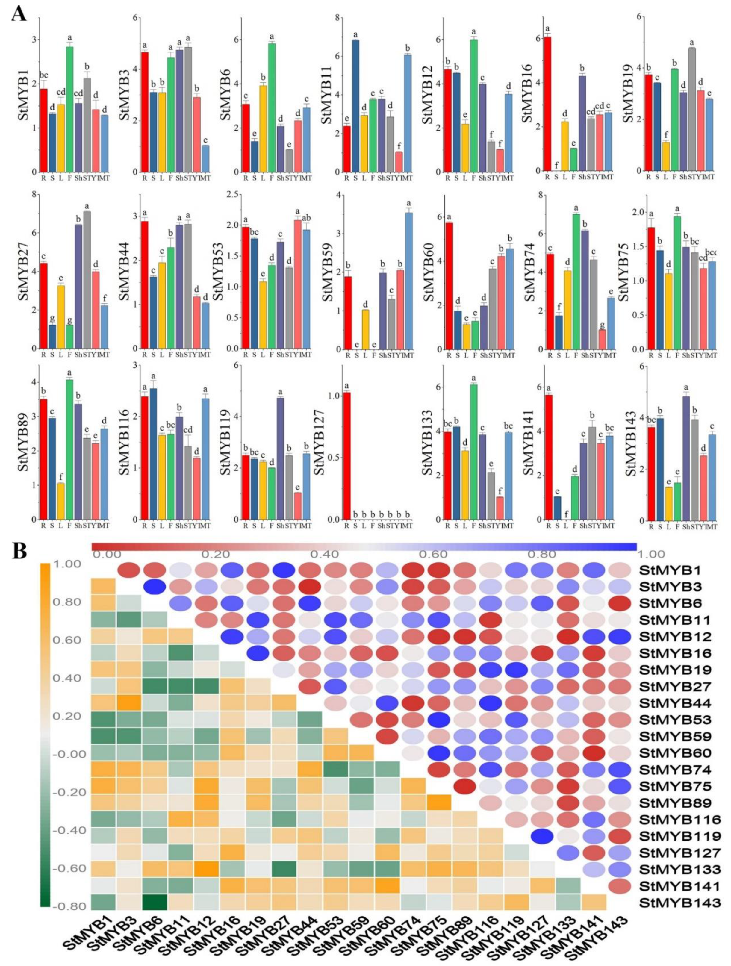 Ijms 20 04847 g007 Ijms 20 04847 g007