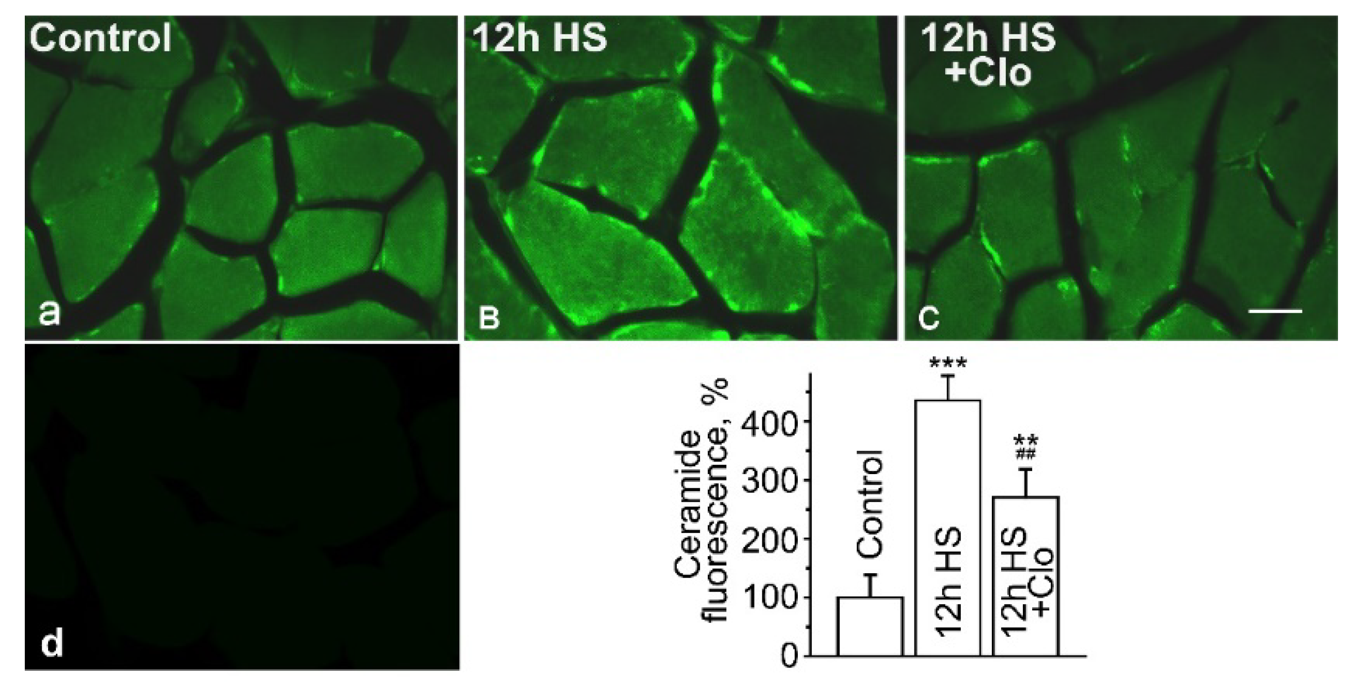 Ijms 20 04860 g001 Ijms 20 04860 g001