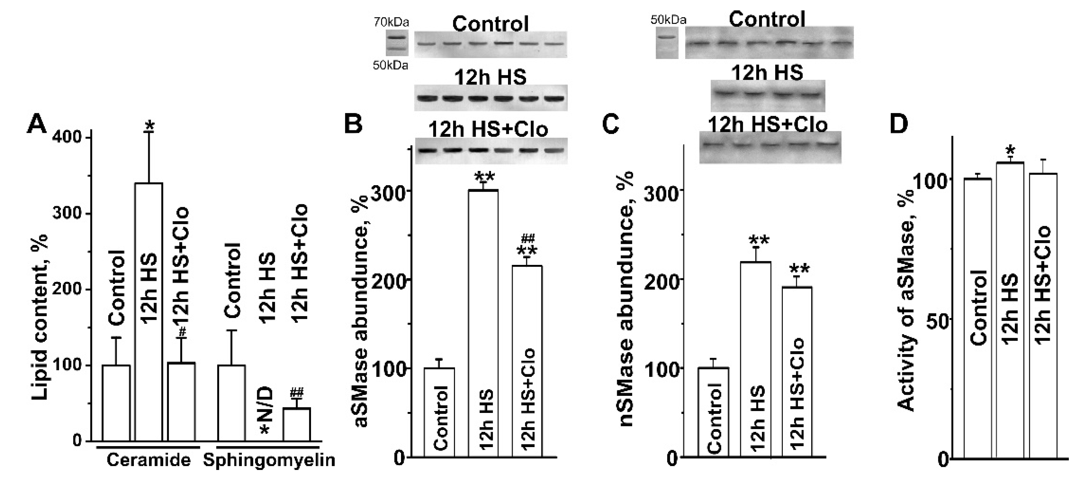 Ijms 20 04860 g002 Ijms 20 04860 g002