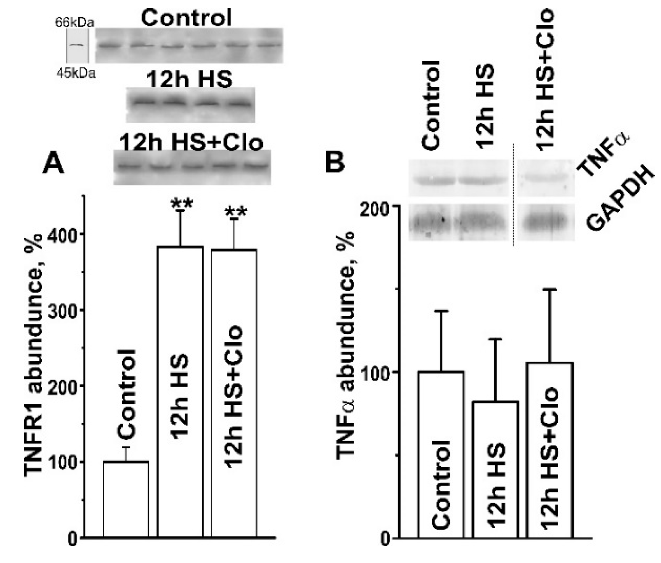 Ijms 20 04860 g003 Ijms 20 04860 g003
