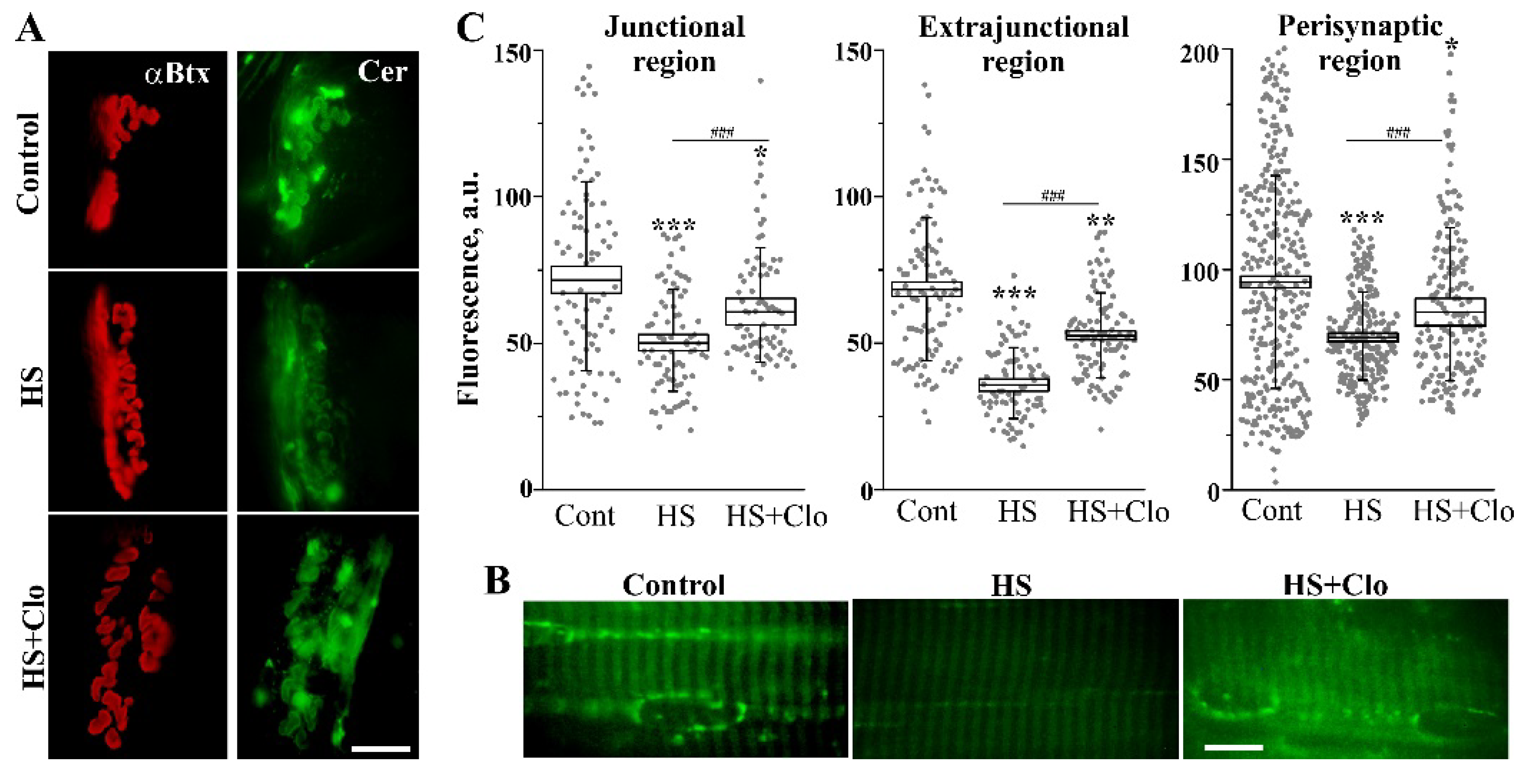Ijms 20 04860 g004 Ijms 20 04860 g004
