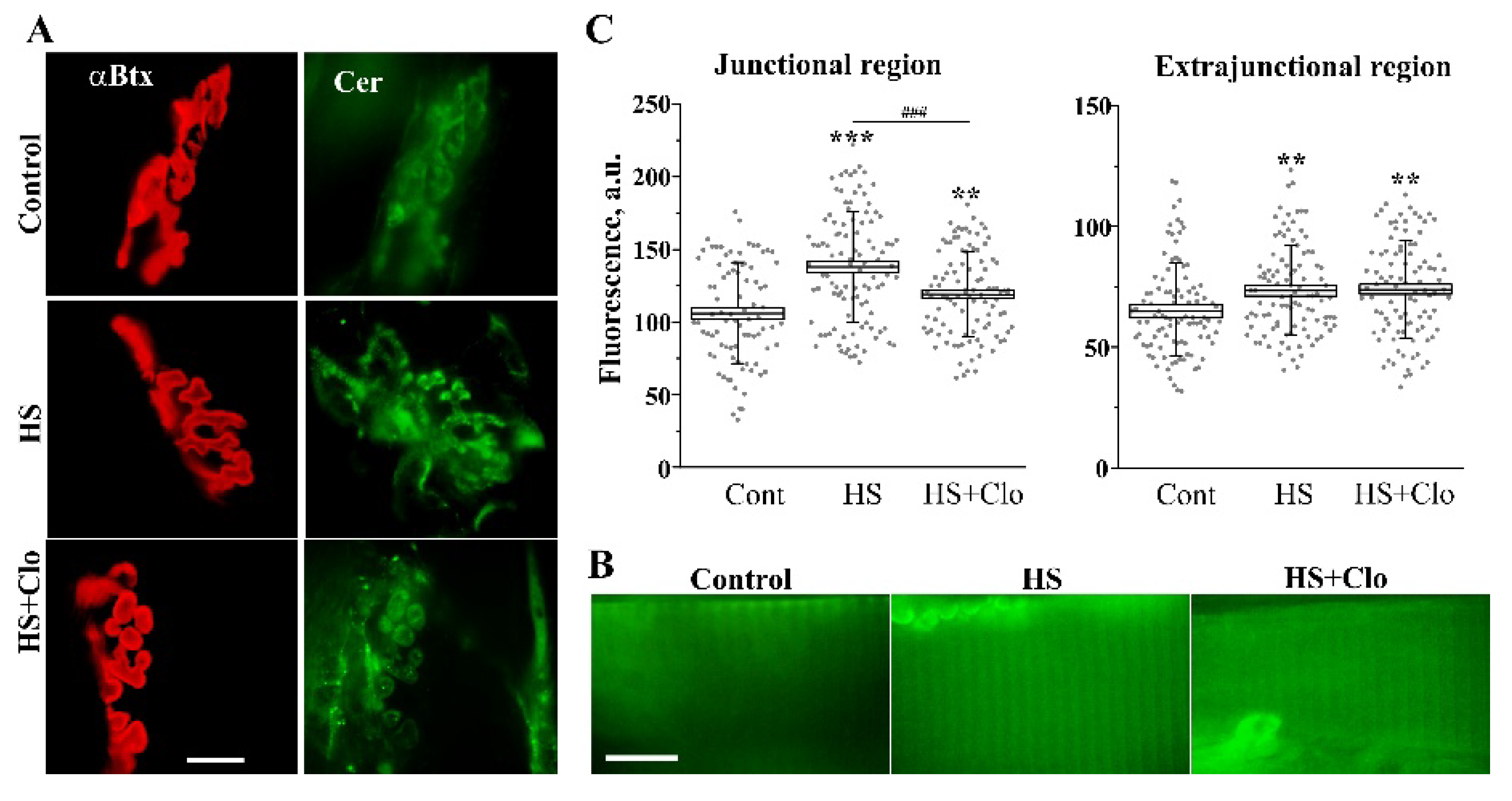 Ijms 20 04860 g005 Ijms 20 04860 g005