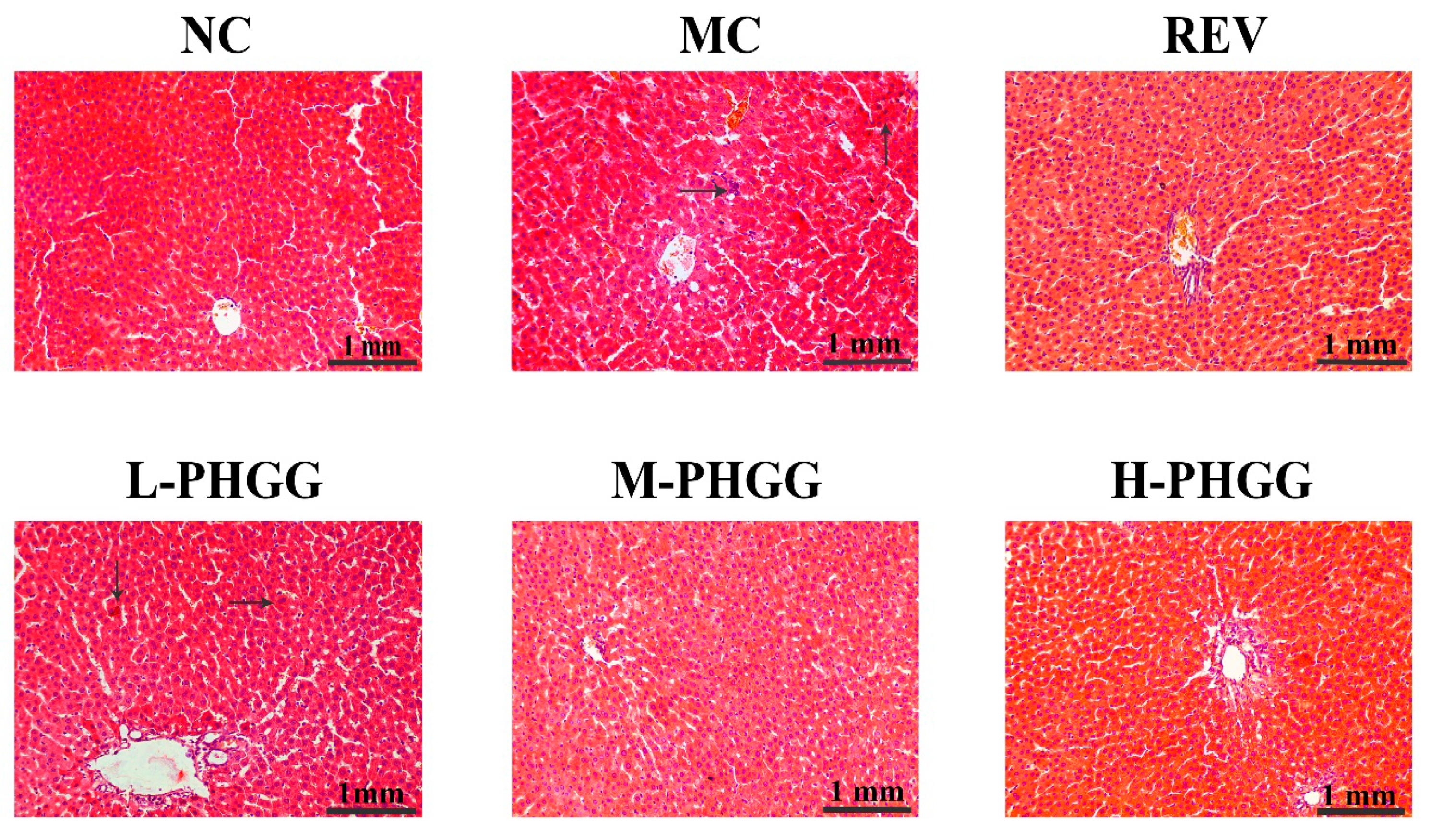 Ijms 20 04861 g001