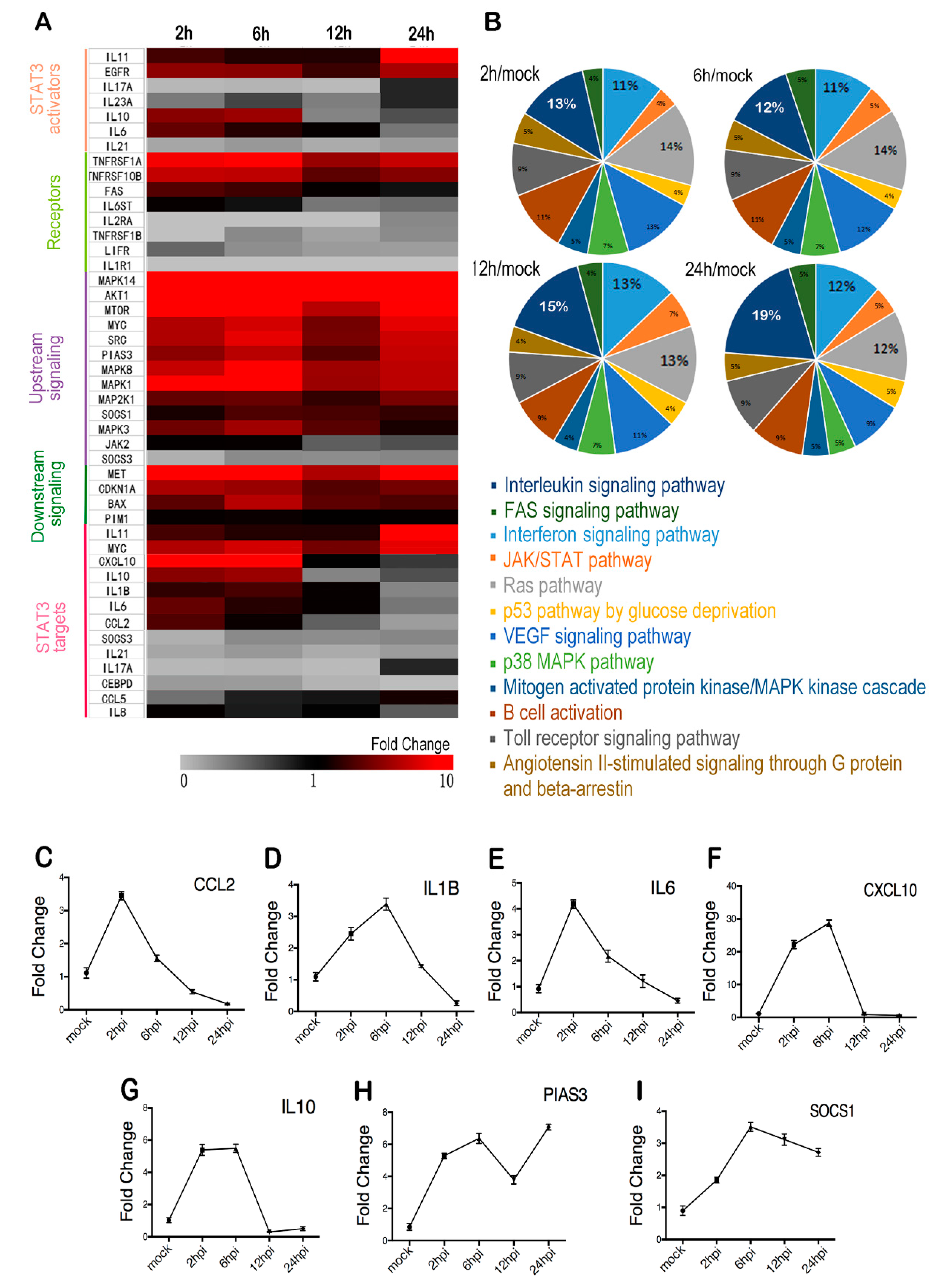 Ijms 20 04870 g002 Ijms 20 04870 g002
