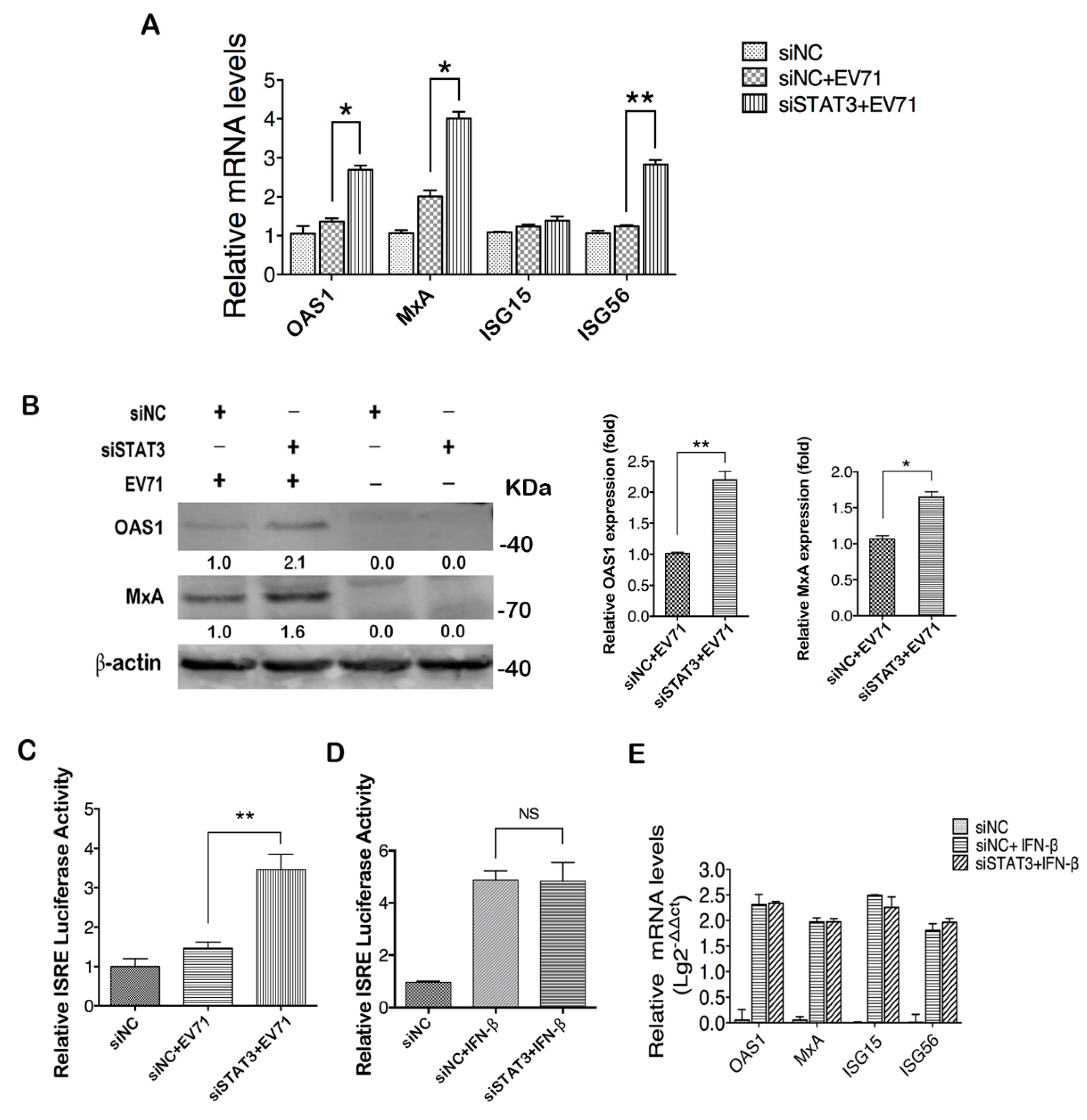 Ijms 20 04870 g004 Ijms 20 04870 g004