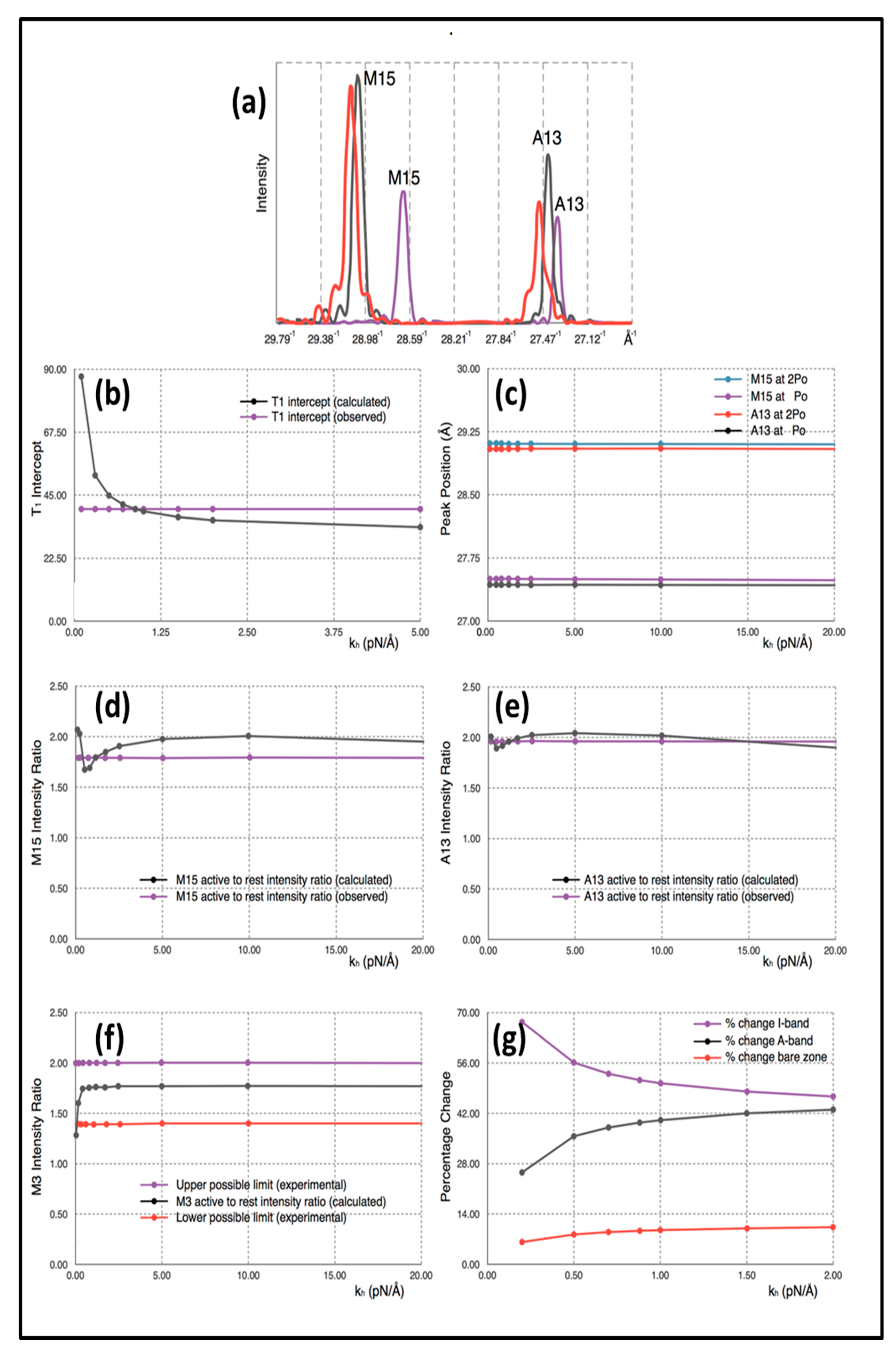 Ijms 20 04892 g004
