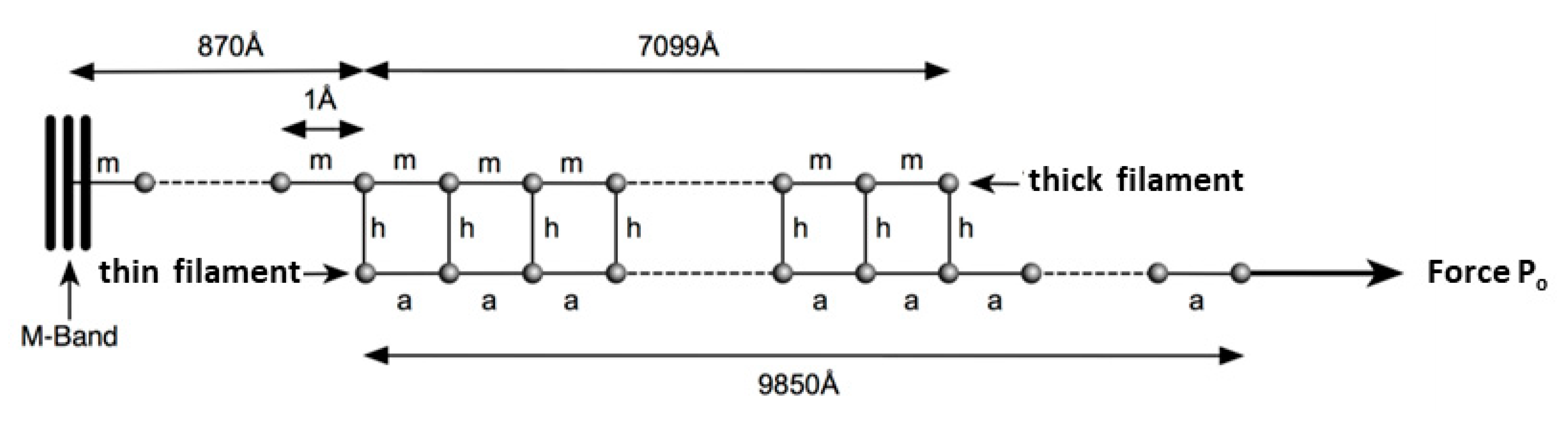 Ijms 20 04892 g0a3