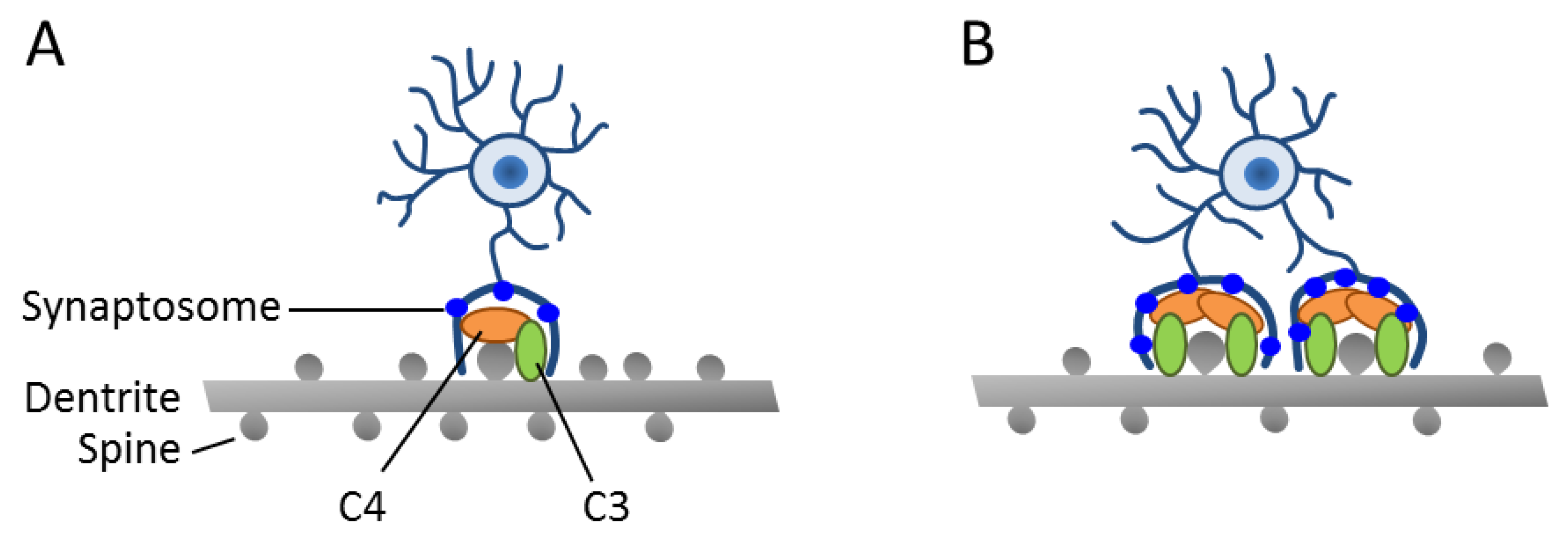 Ijms 20 04896 g002 Ijms 20 04896 g002