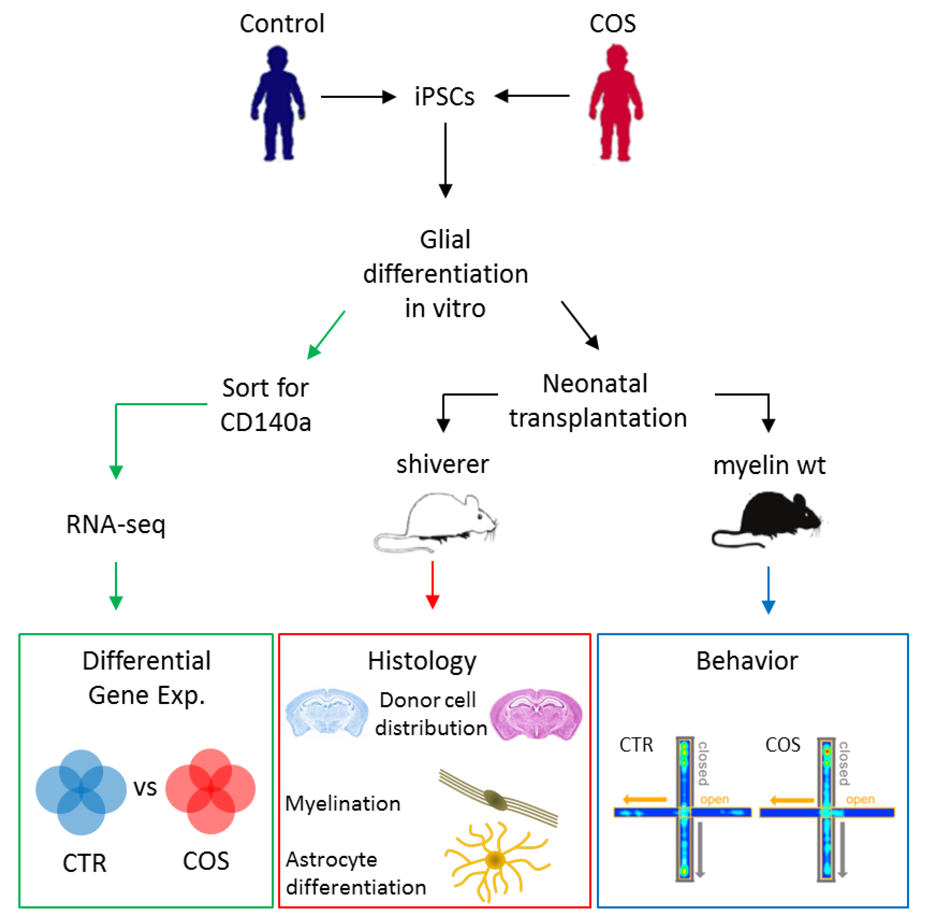 Ijms 20 04896 g003 Ijms 20 04896 g003