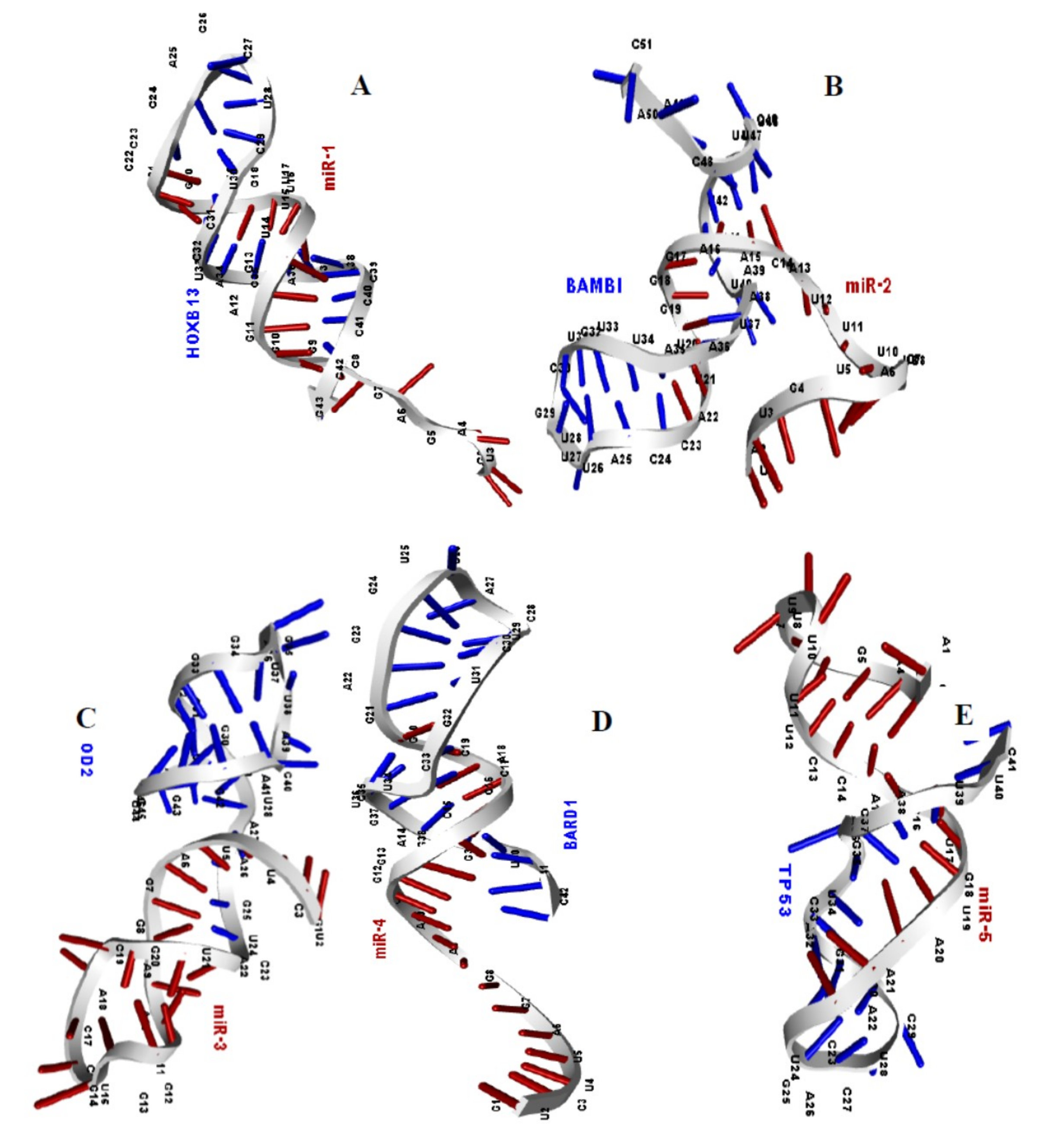 Ijms 20 04899 g004 Ijms 20 04899 g004