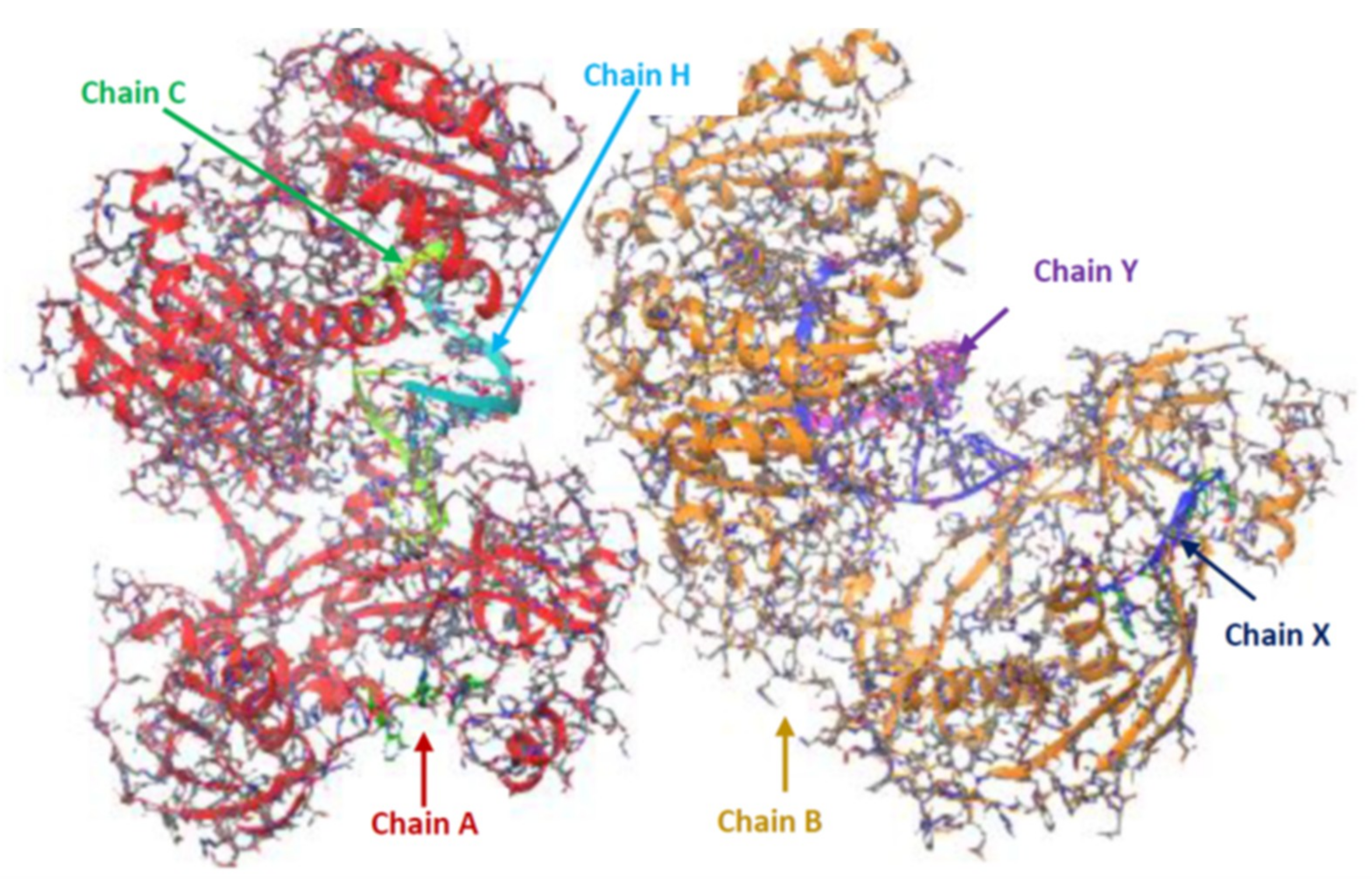Ijms 20 04899 g005 Ijms 20 04899 g005