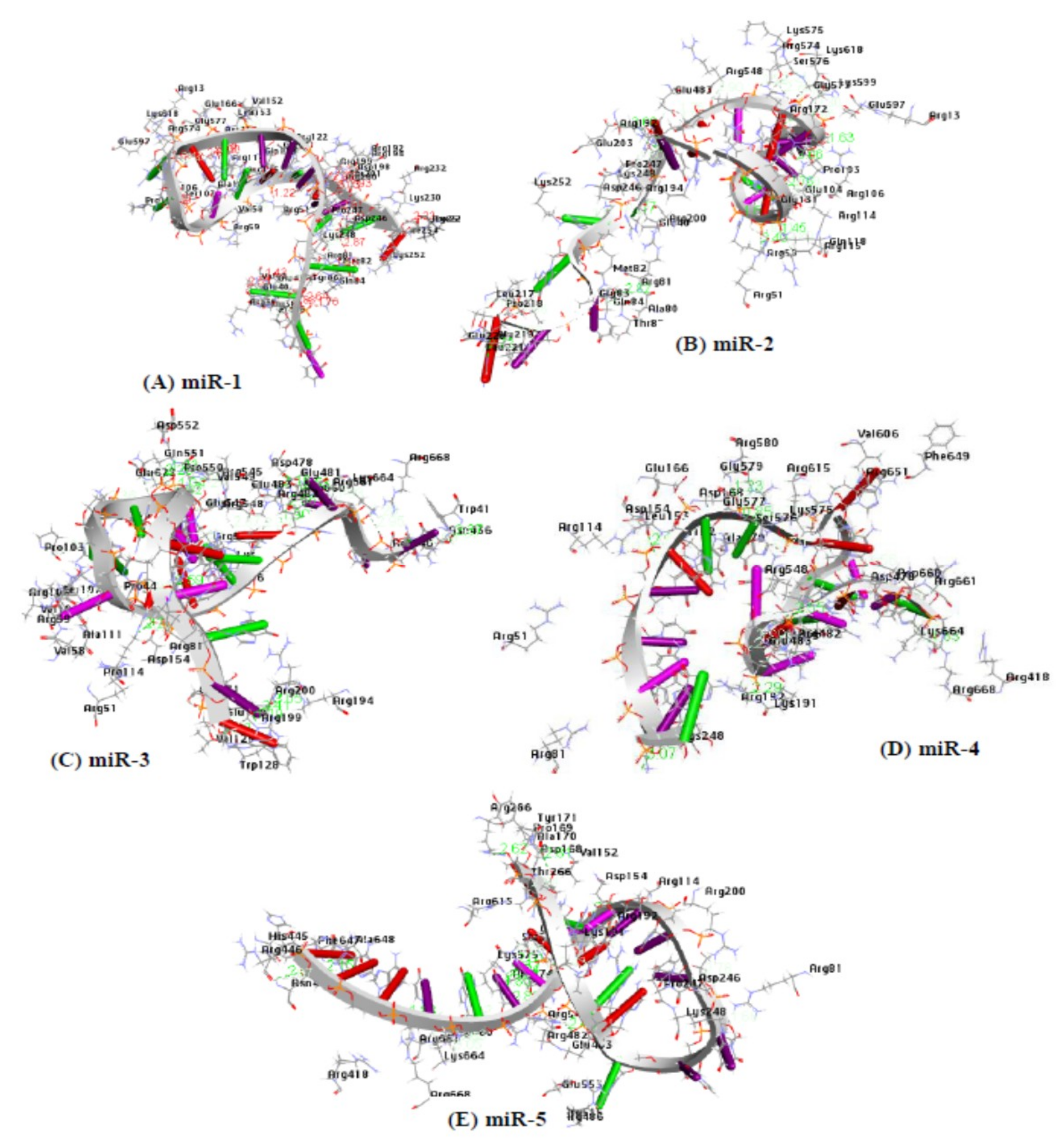 Ijms 20 04899 g007 Ijms 20 04899 g007