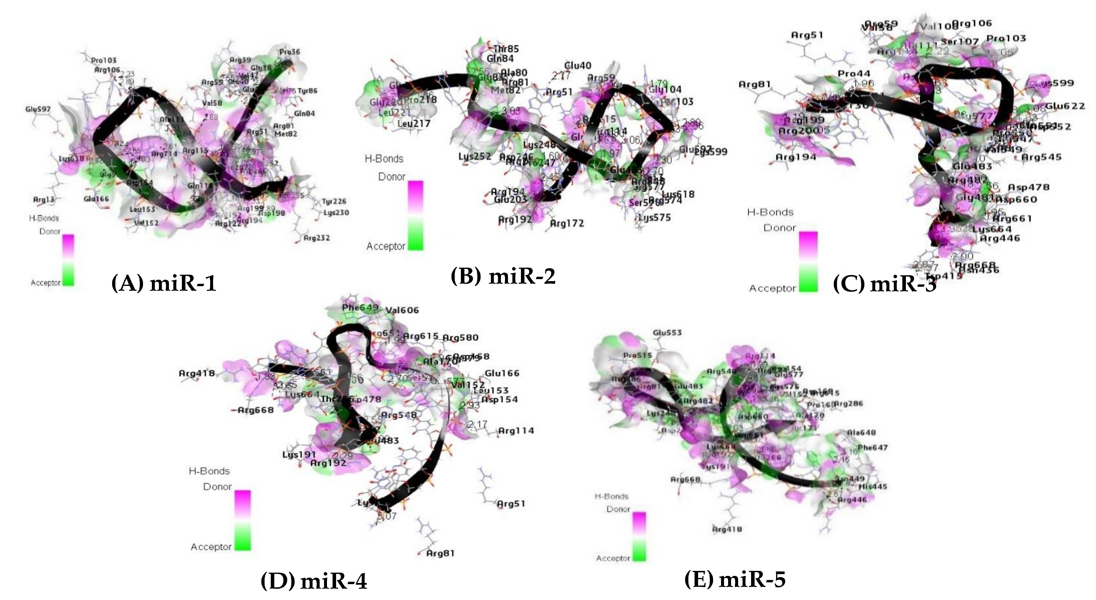 Ijms 20 04899 g008 Ijms 20 04899 g008