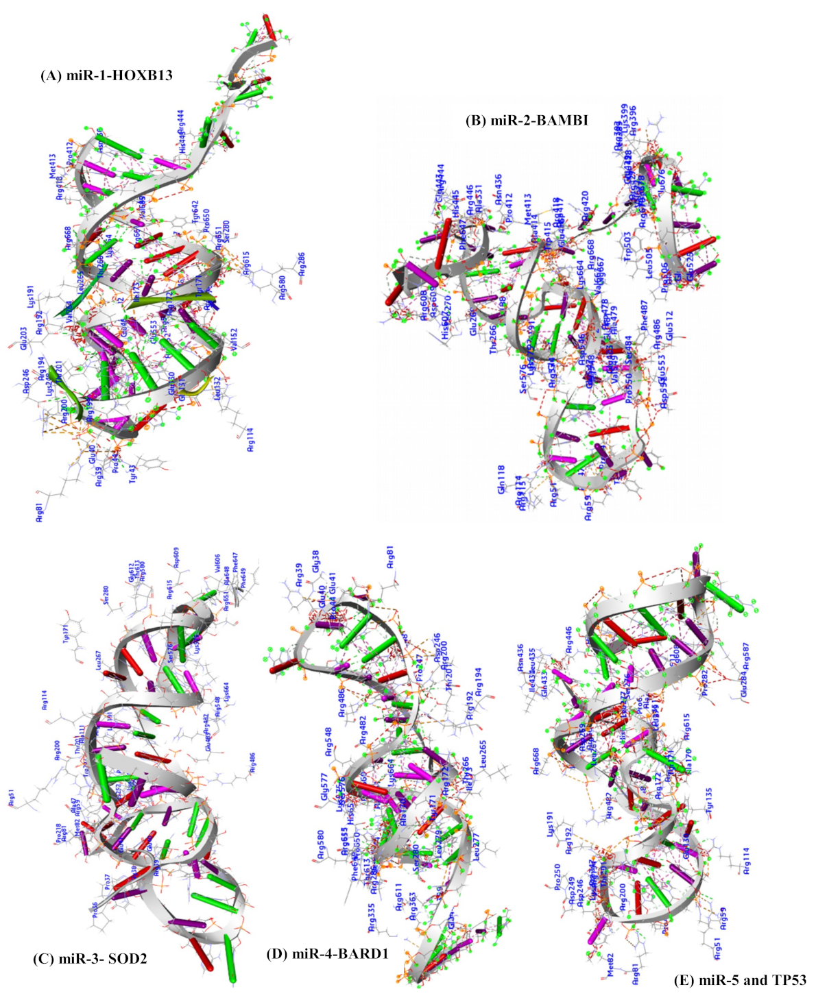 Ijms 20 04899 g009 Ijms 20 04899 g009