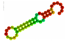 Ijms 20 04899 i001 Ijms 20 04899 i001