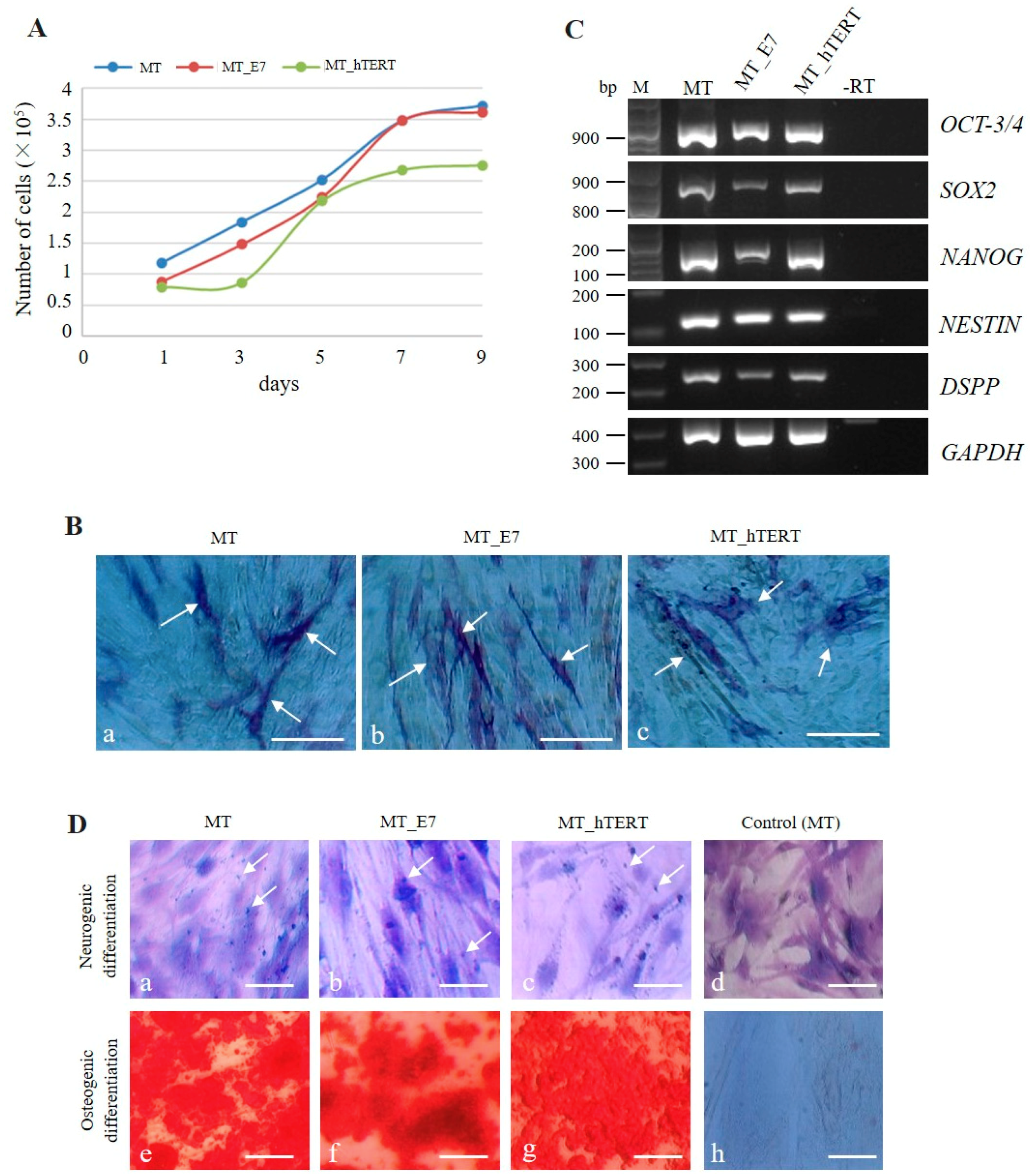 Ijms 20 04904 g002 Ijms 20 04904 g002
