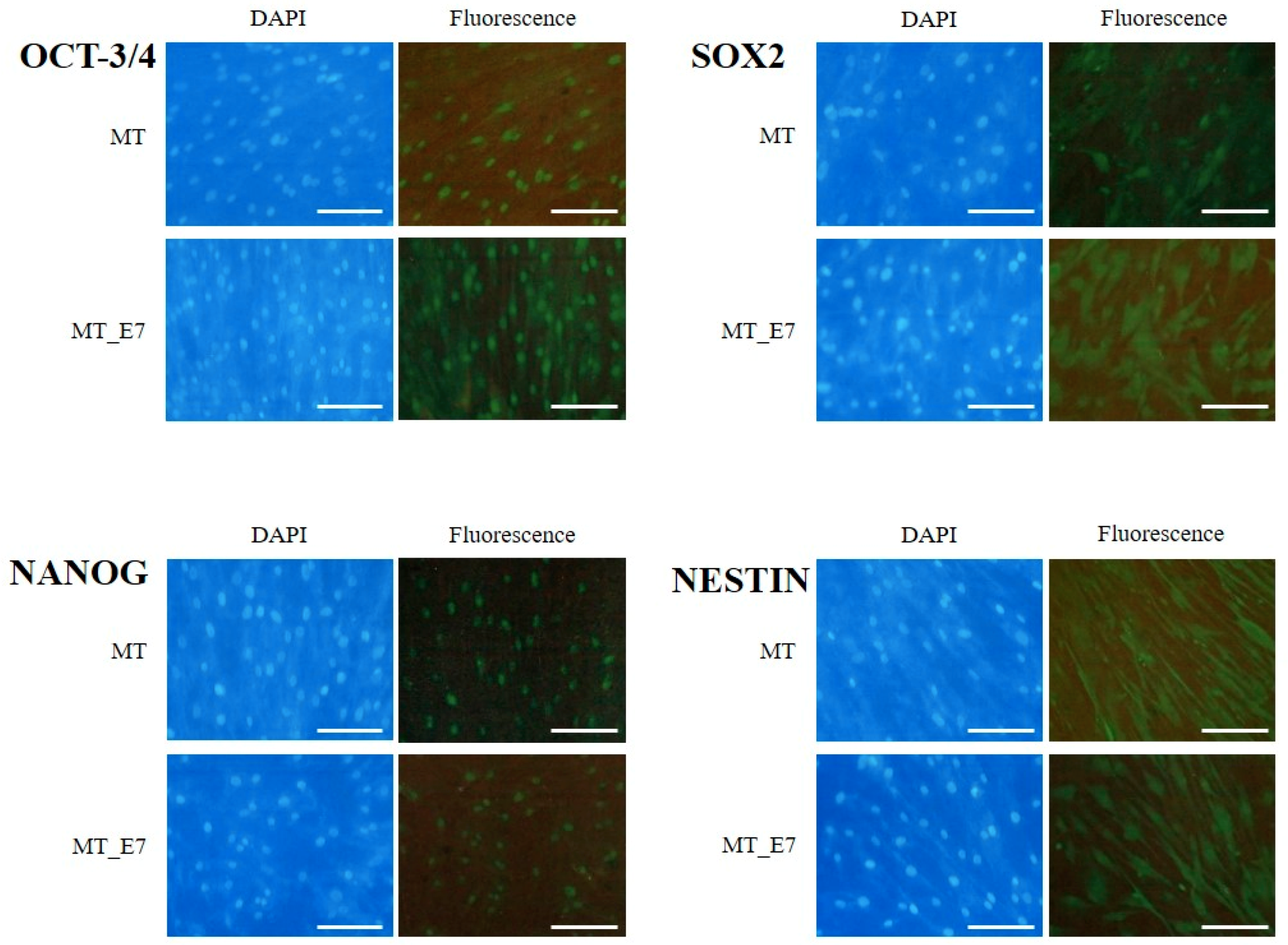 Ijms 20 04904 g003 Ijms 20 04904 g003