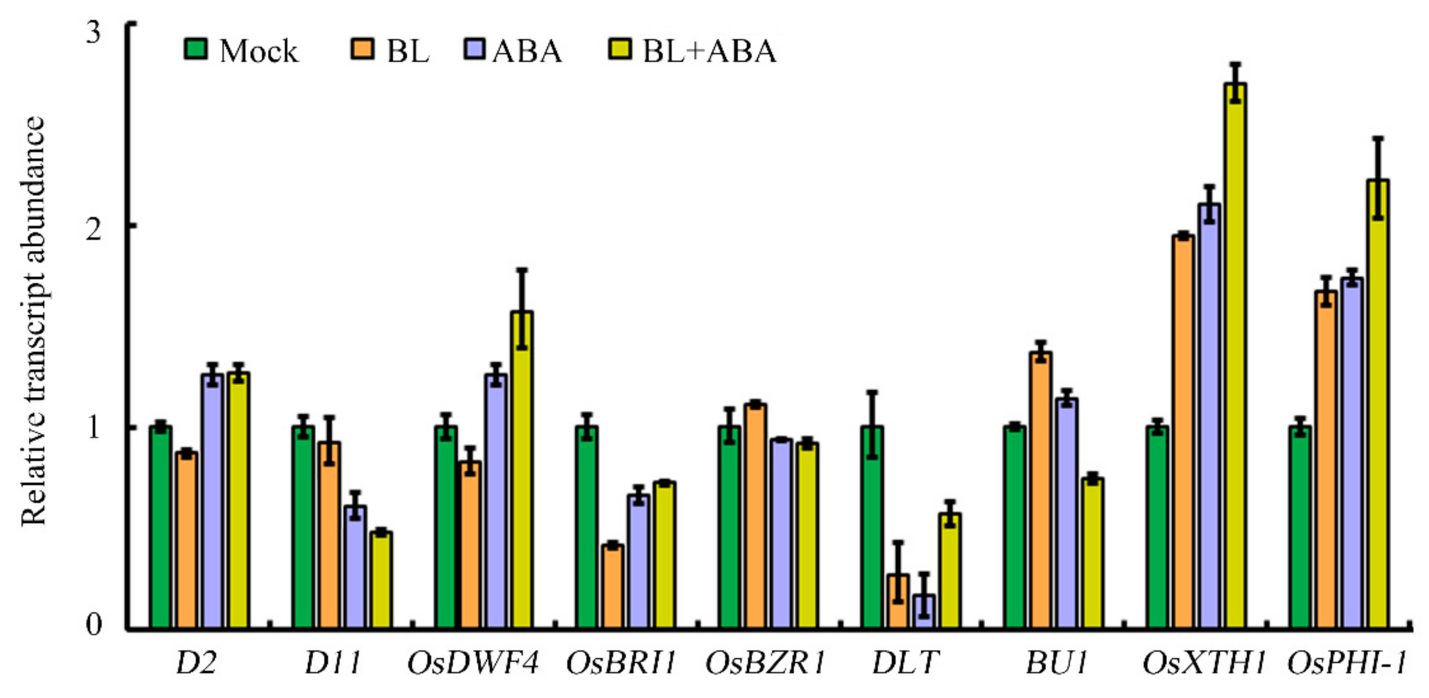 Ijms 20 04908 g002 Ijms 20 04908 g002