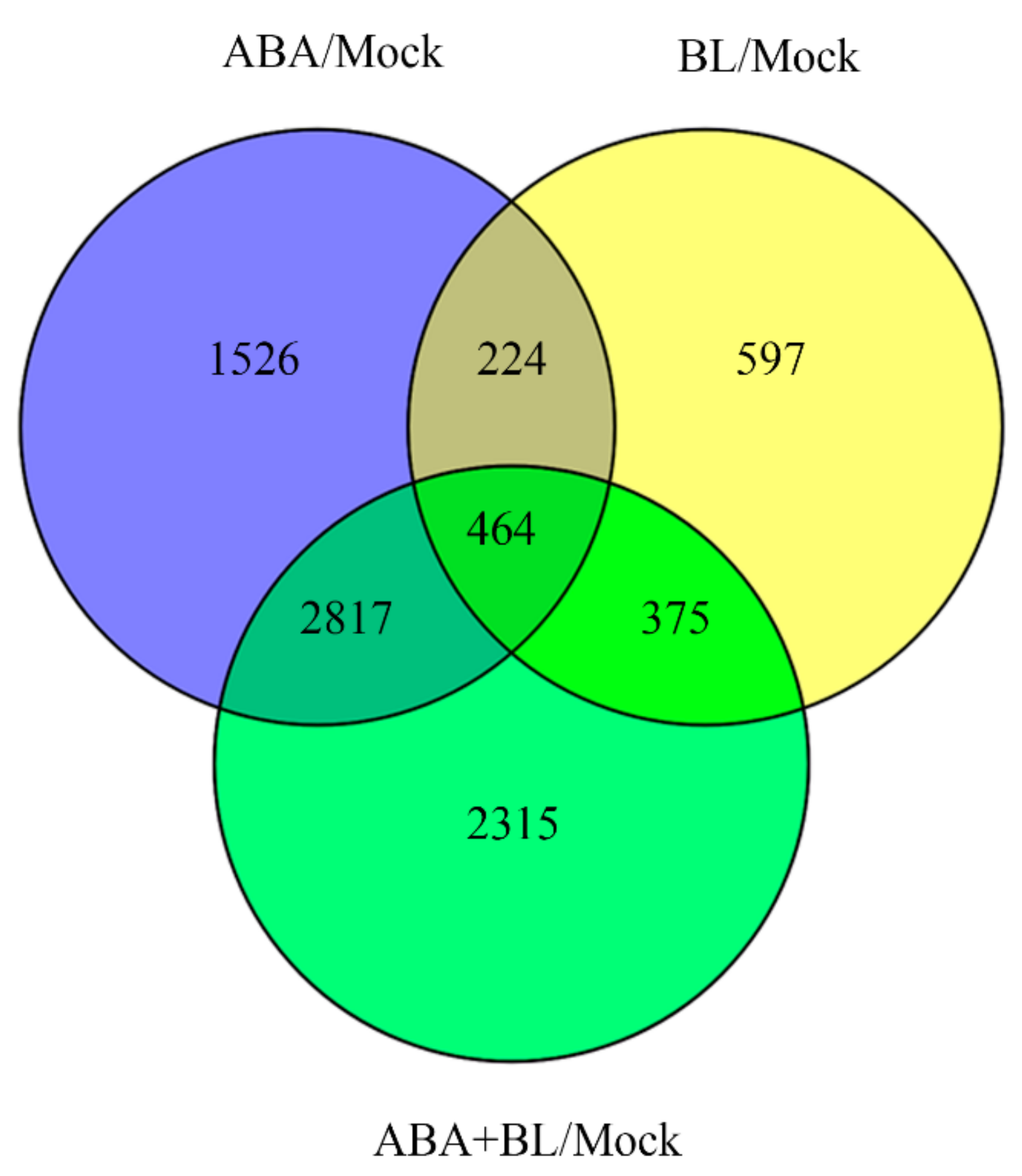 Ijms 20 04908 g004 Ijms 20 04908 g004