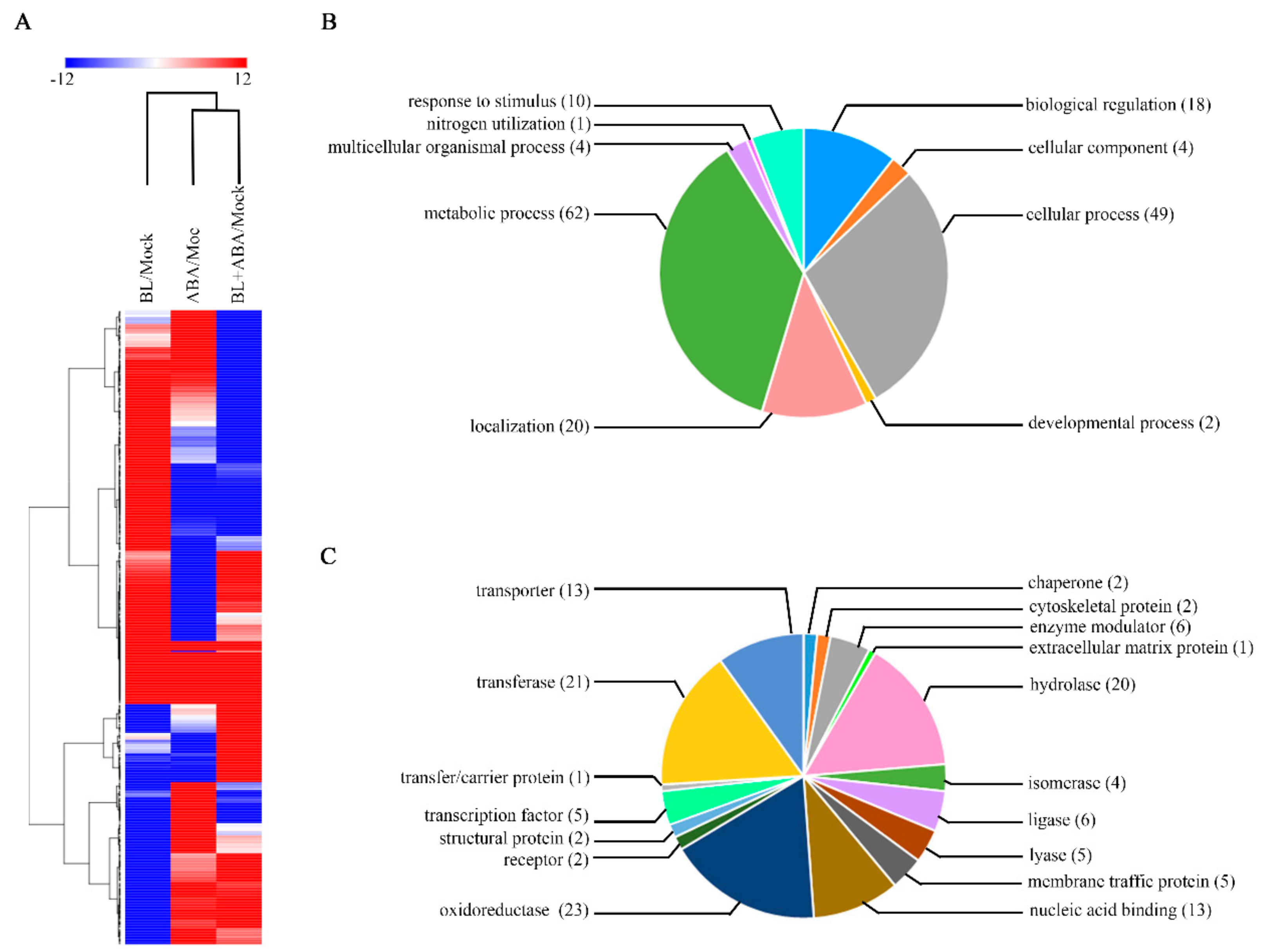 Ijms 20 04908 g005 Ijms 20 04908 g005