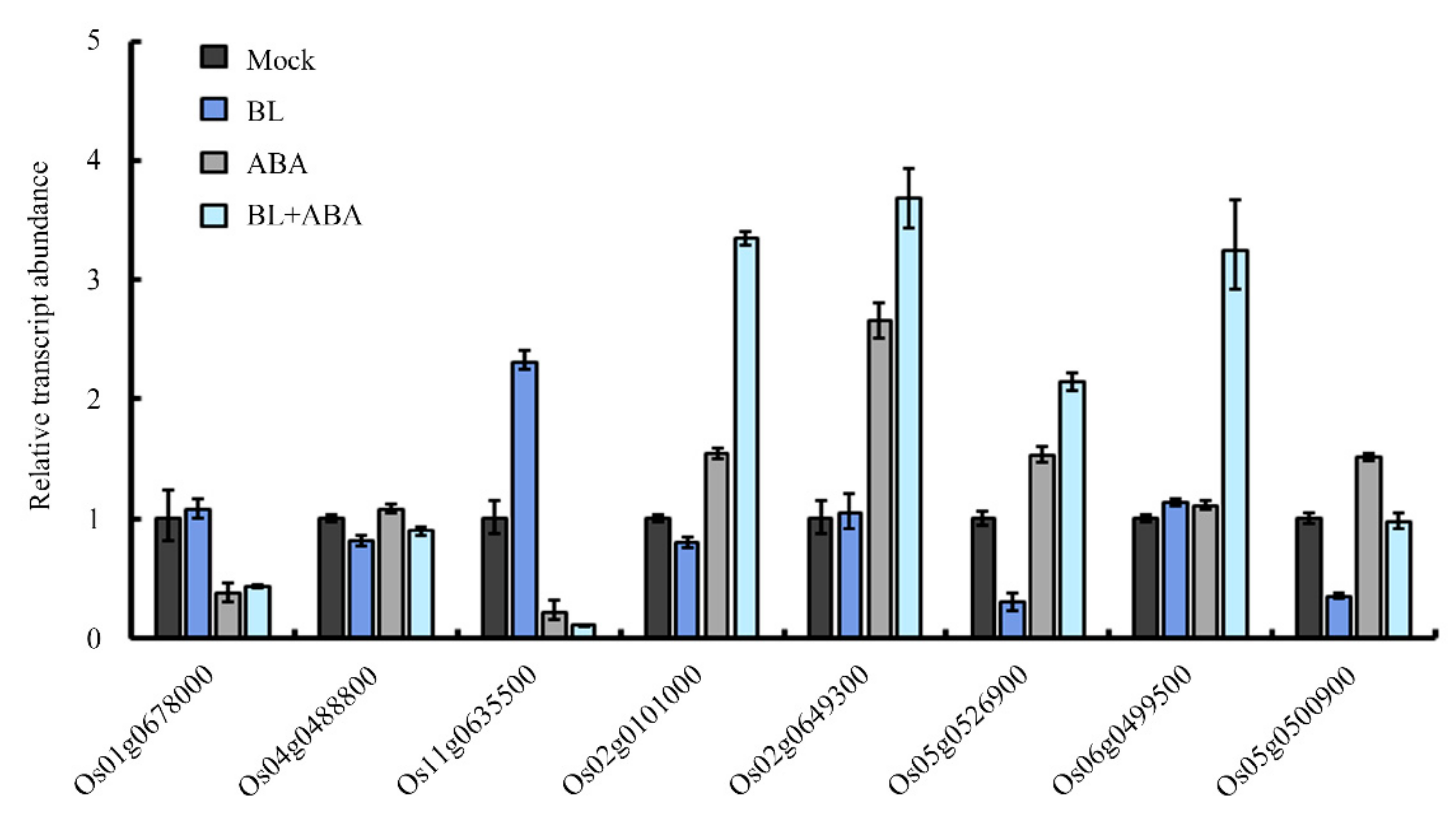Ijms 20 04908 g006 Ijms 20 04908 g006