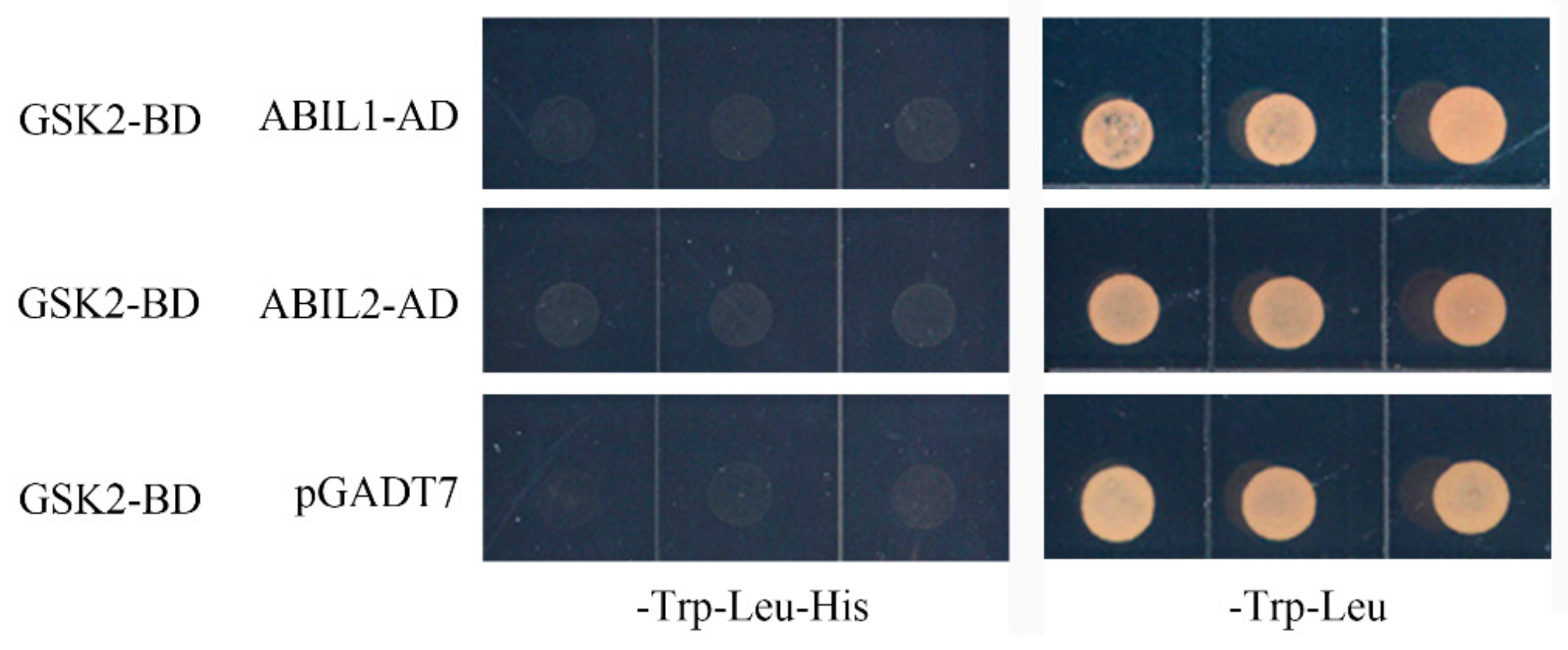 Ijms 20 04908 g008 Ijms 20 04908 g008